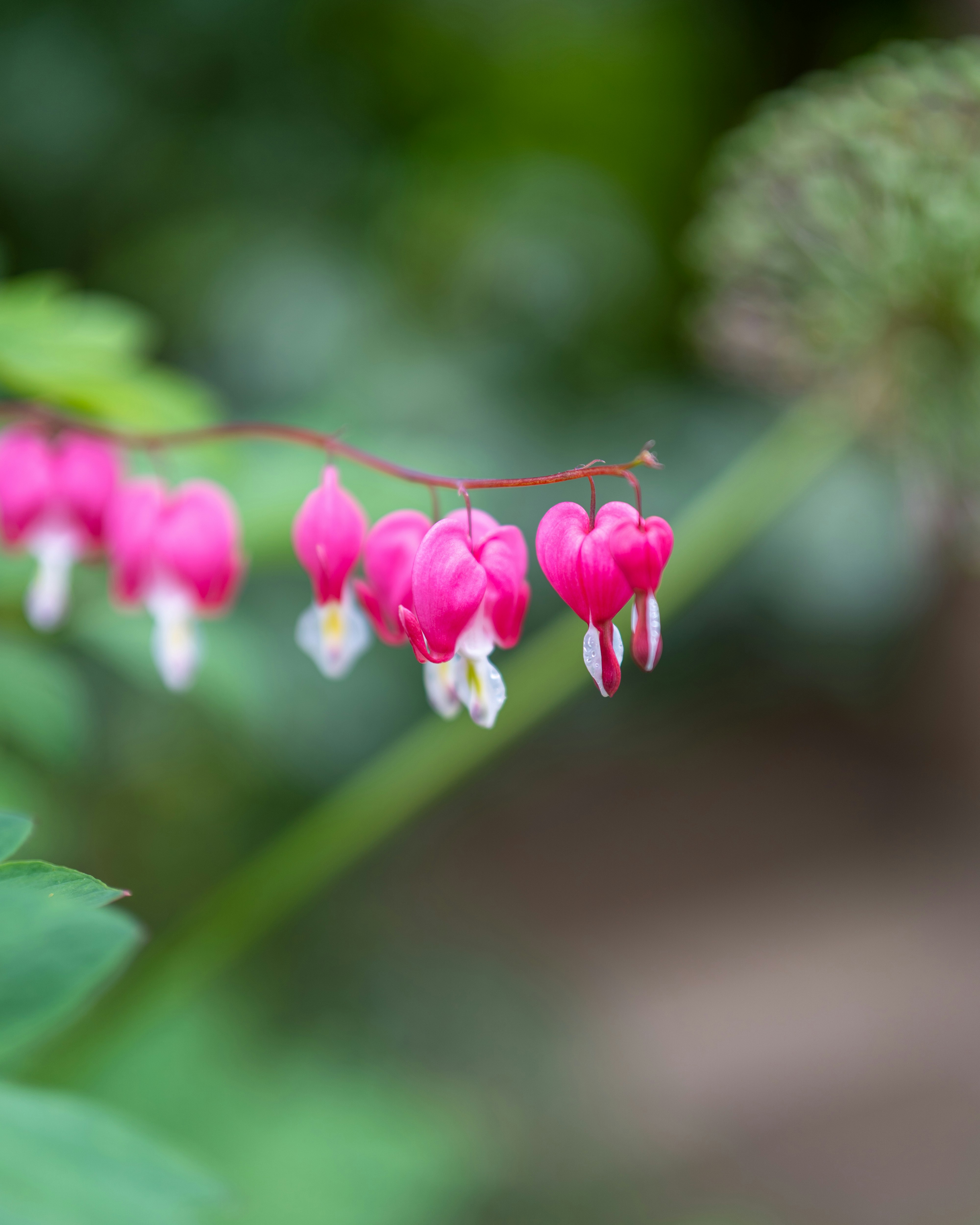 Photo by bangscreative