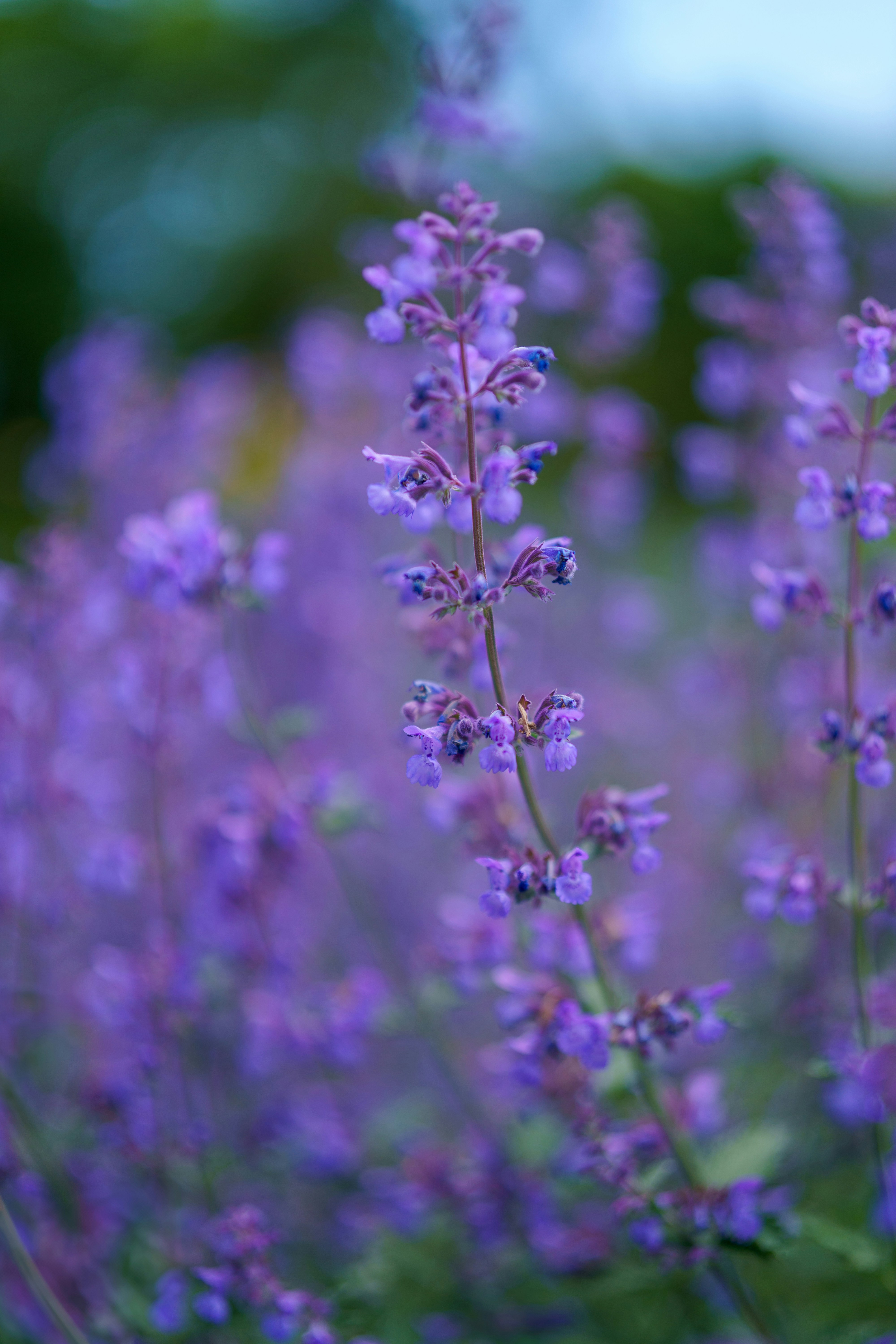 Photo by bangscreative