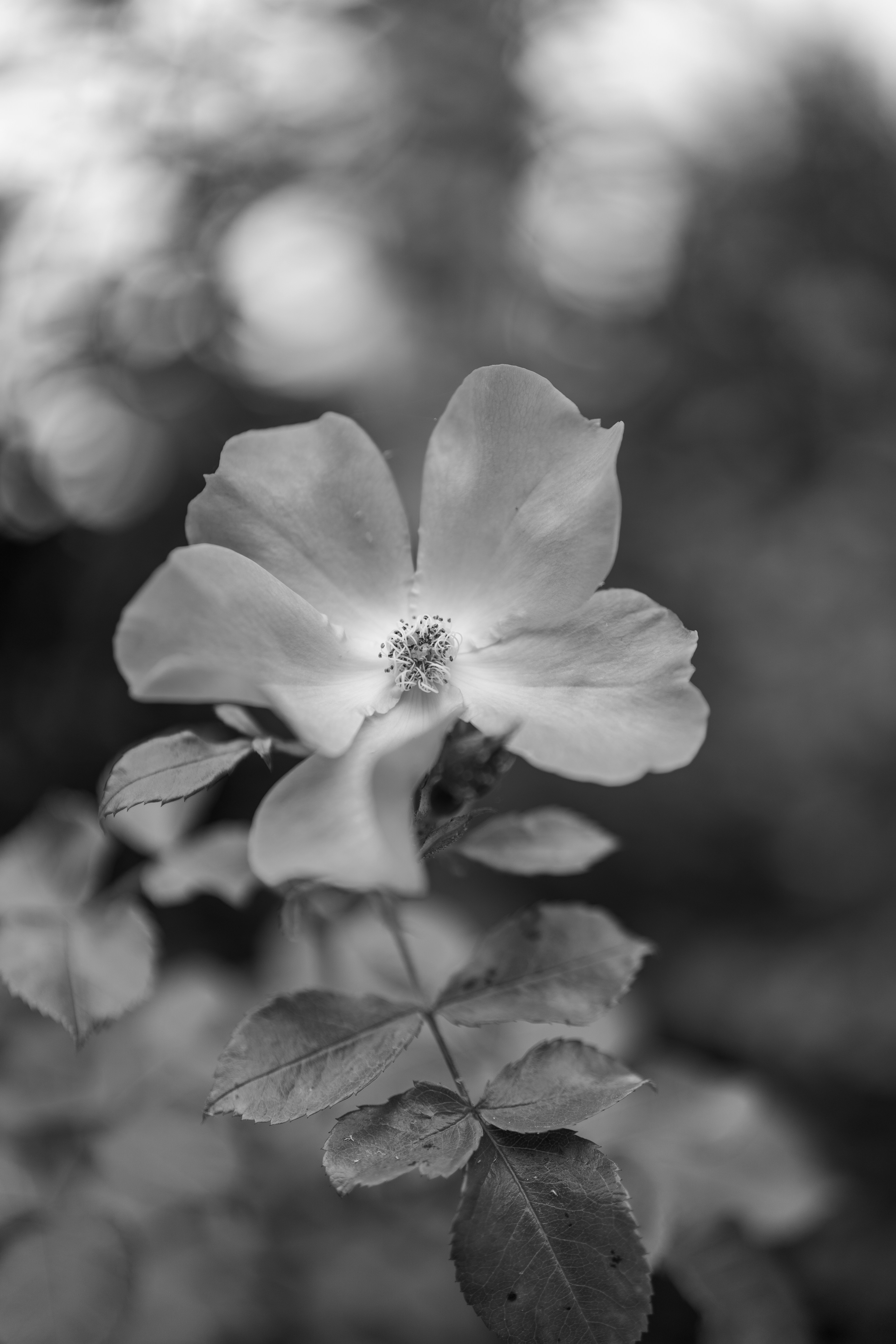 Photo by bangscreative