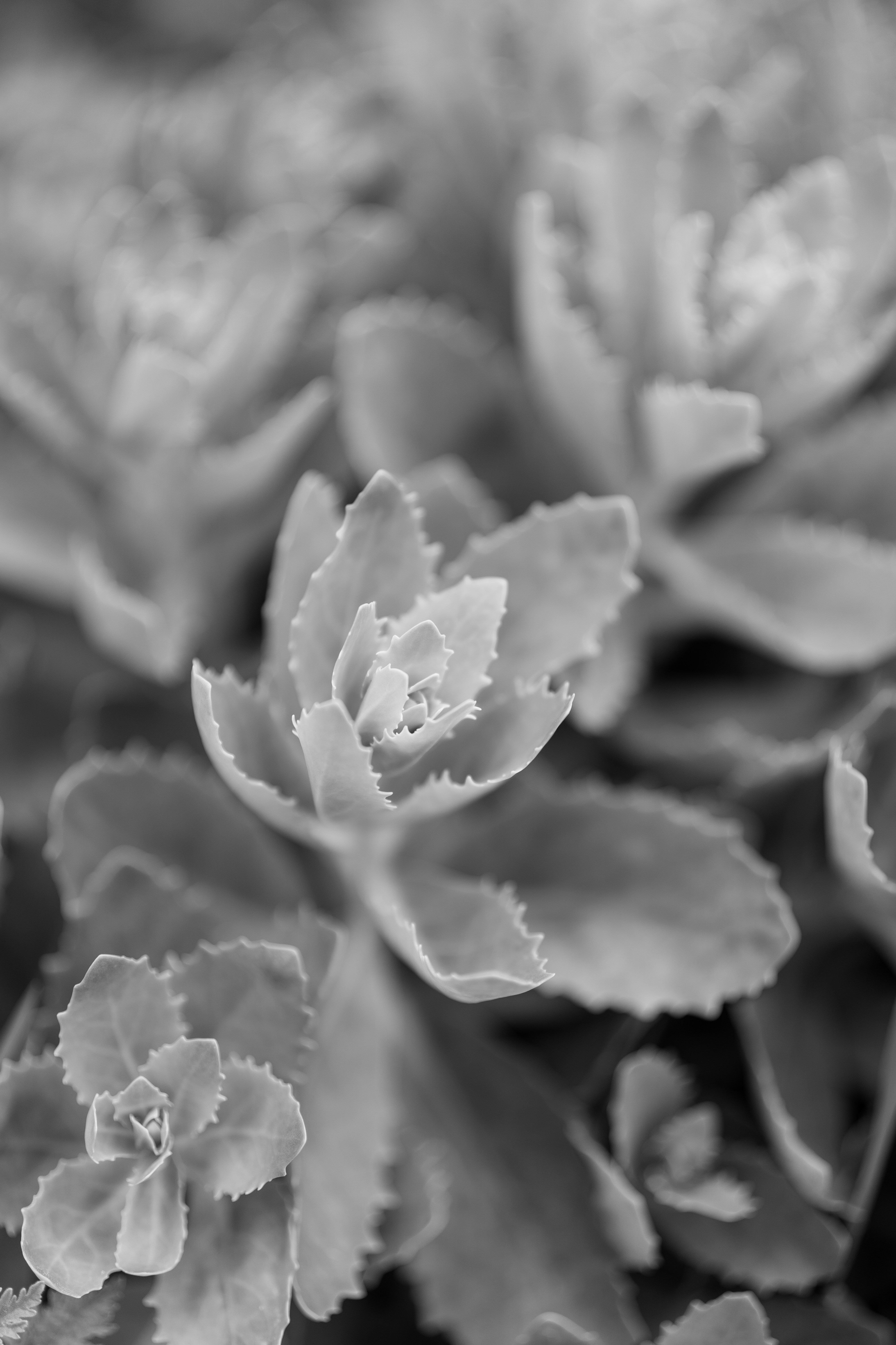 Photo by bangscreative