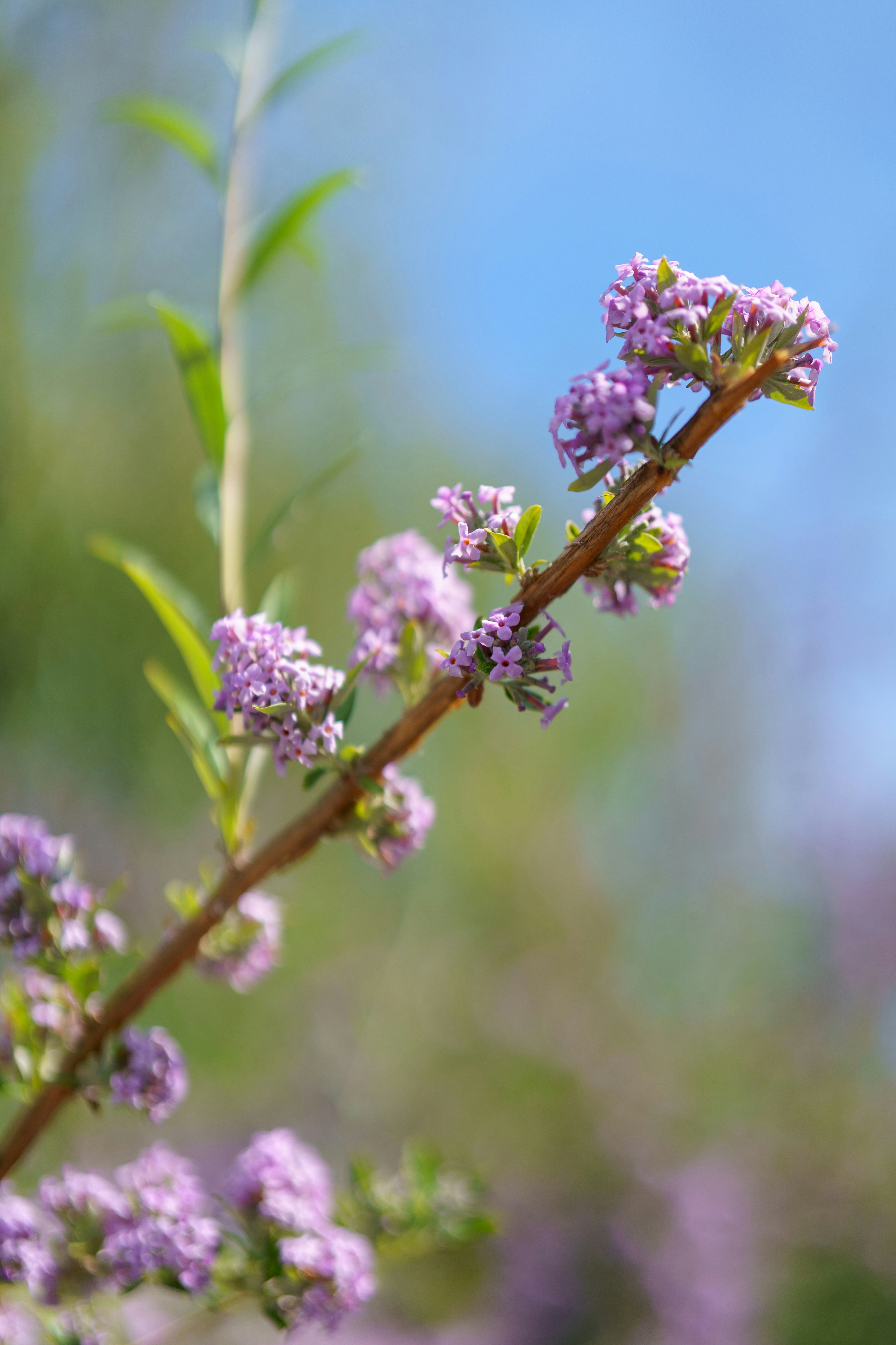 Photo by bangscreative