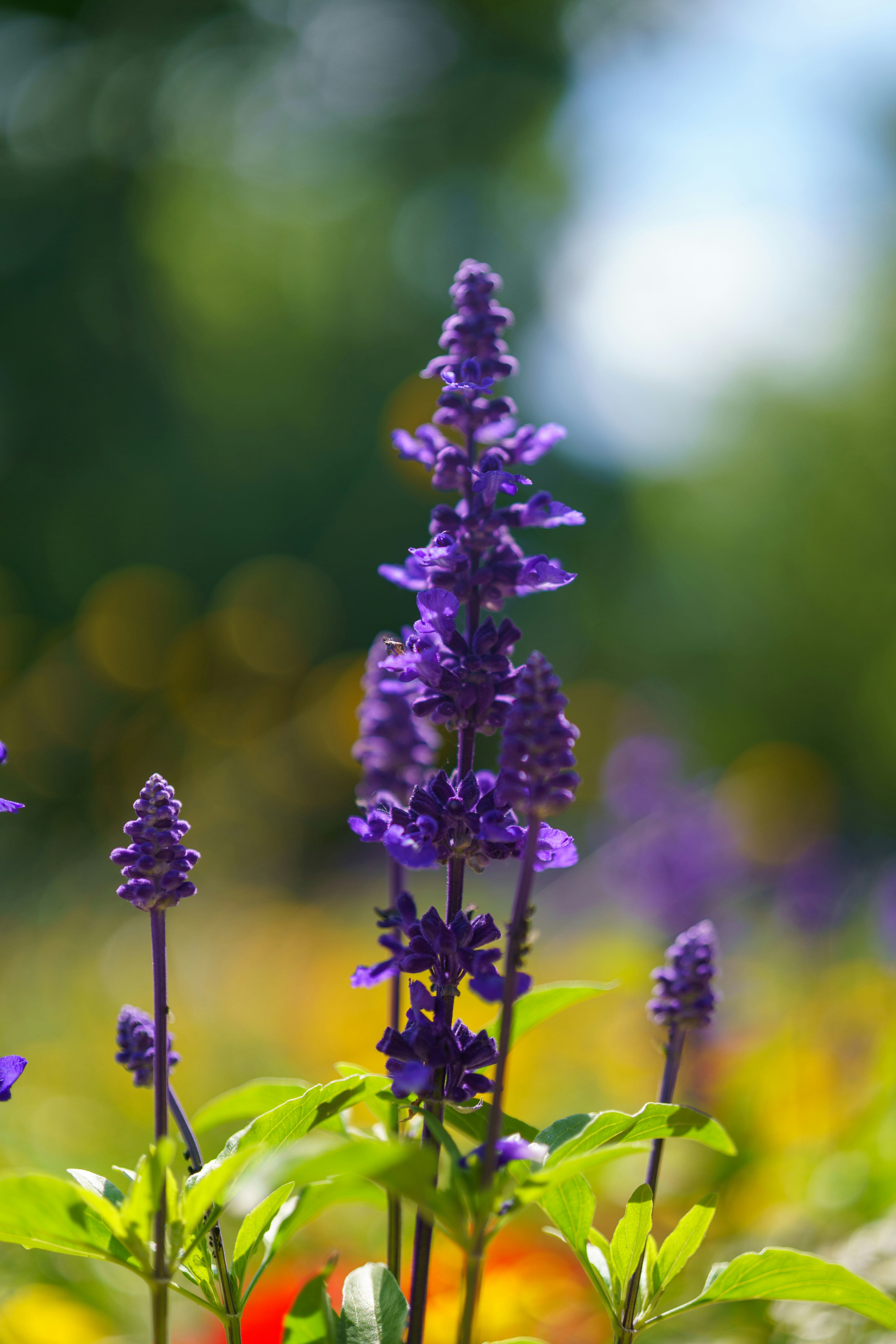 Photo by bangscreative