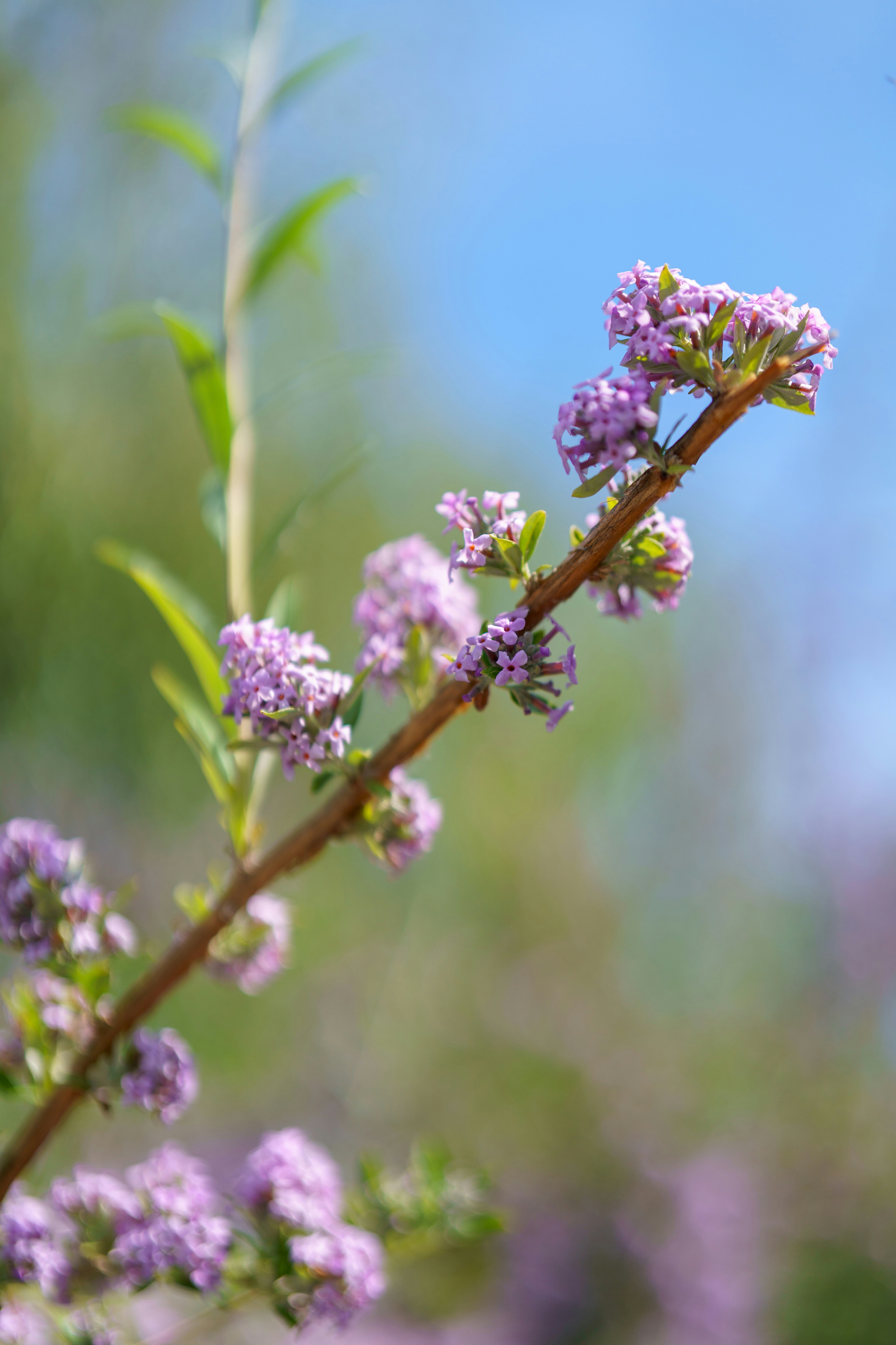 Photo by bangscreative