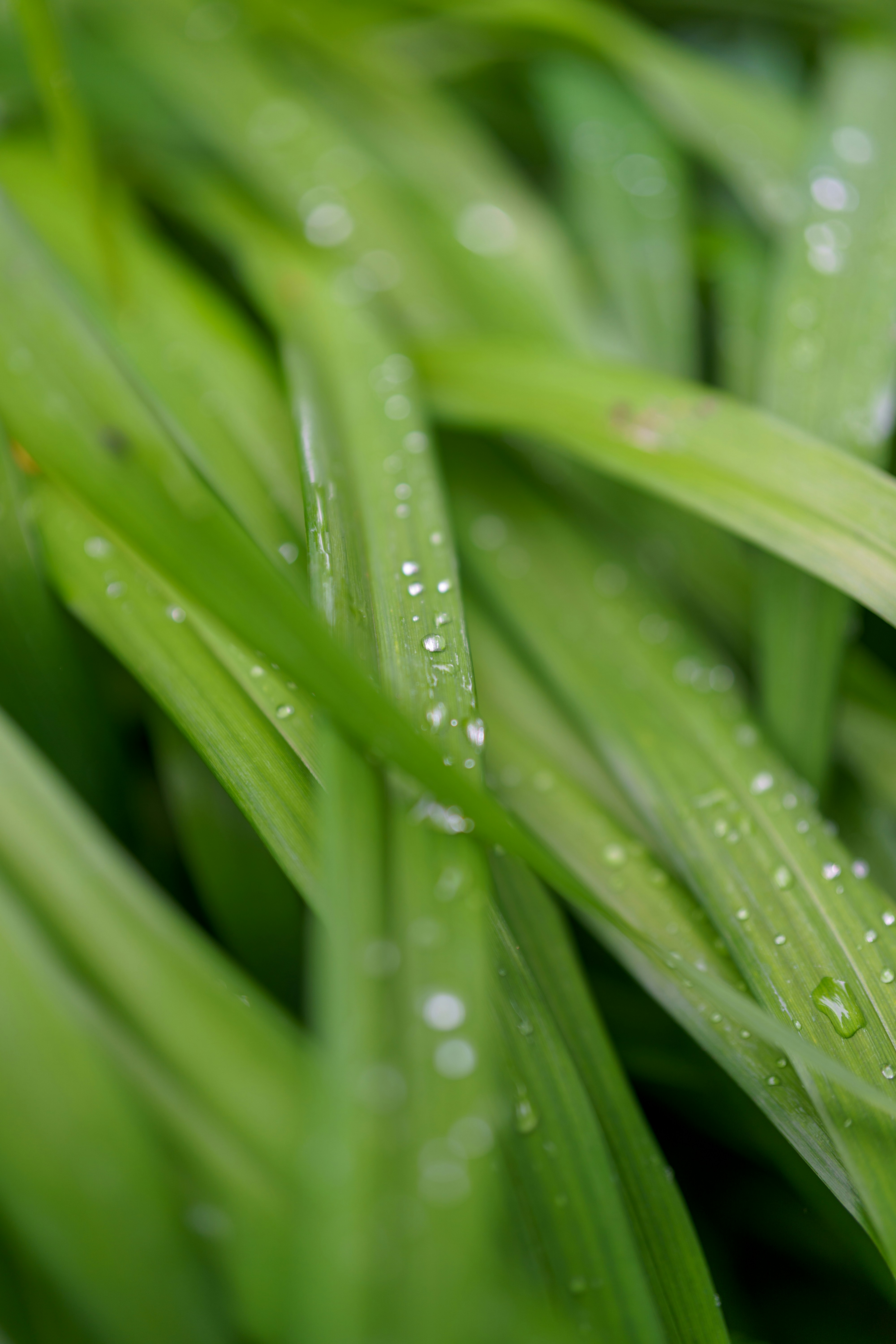 Photo by bangscreative