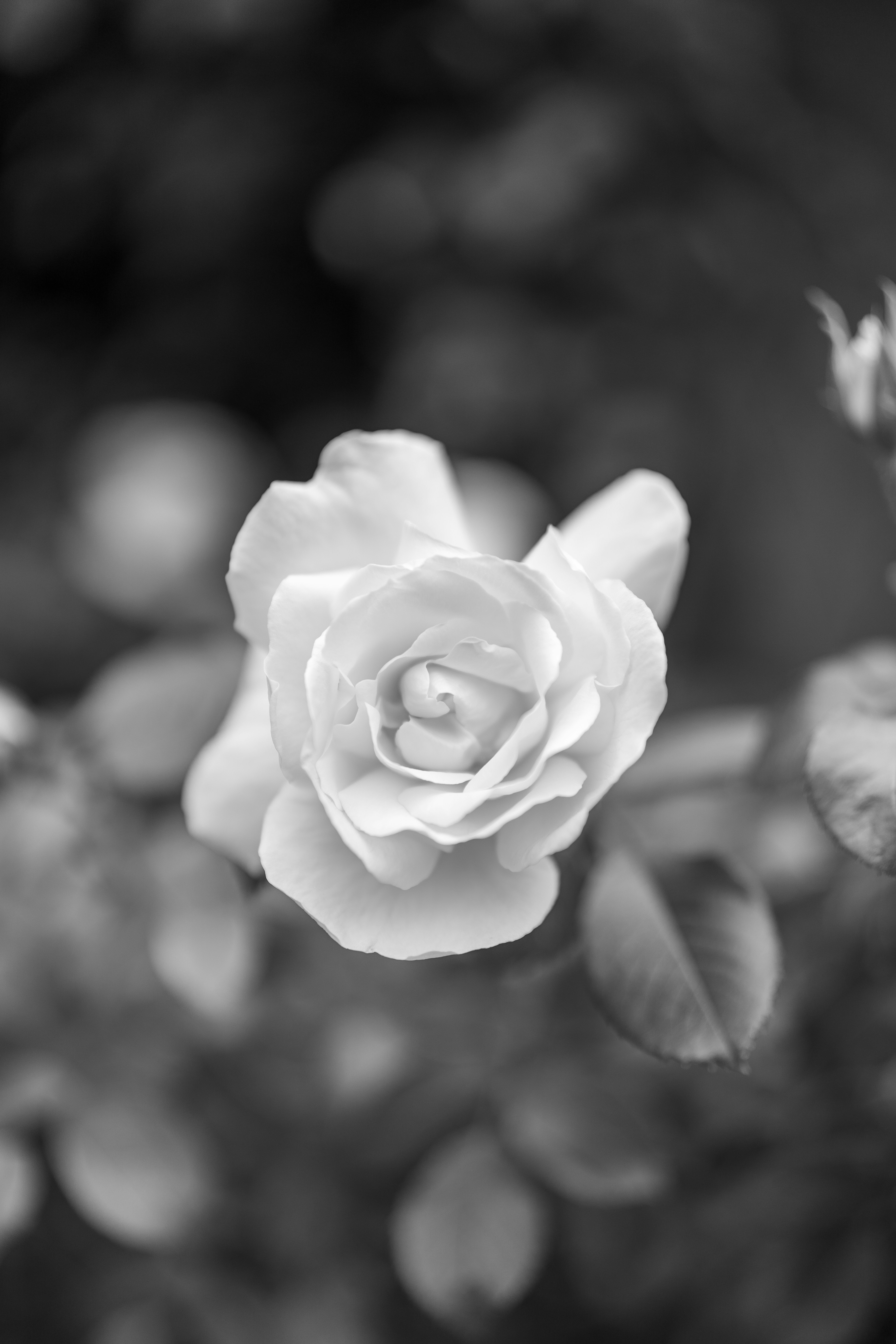 Photo by bangscreative