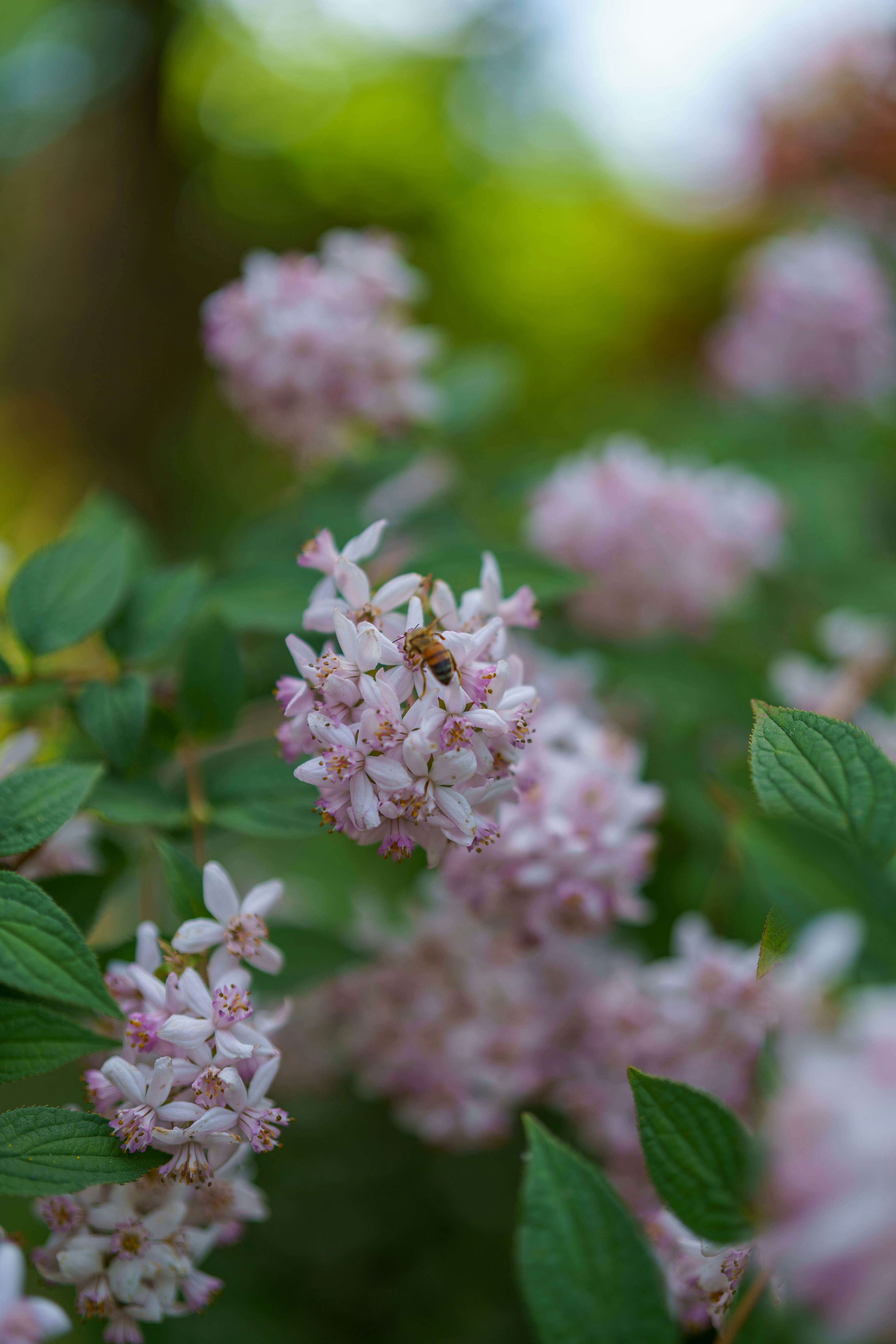 Photo by bangscreative