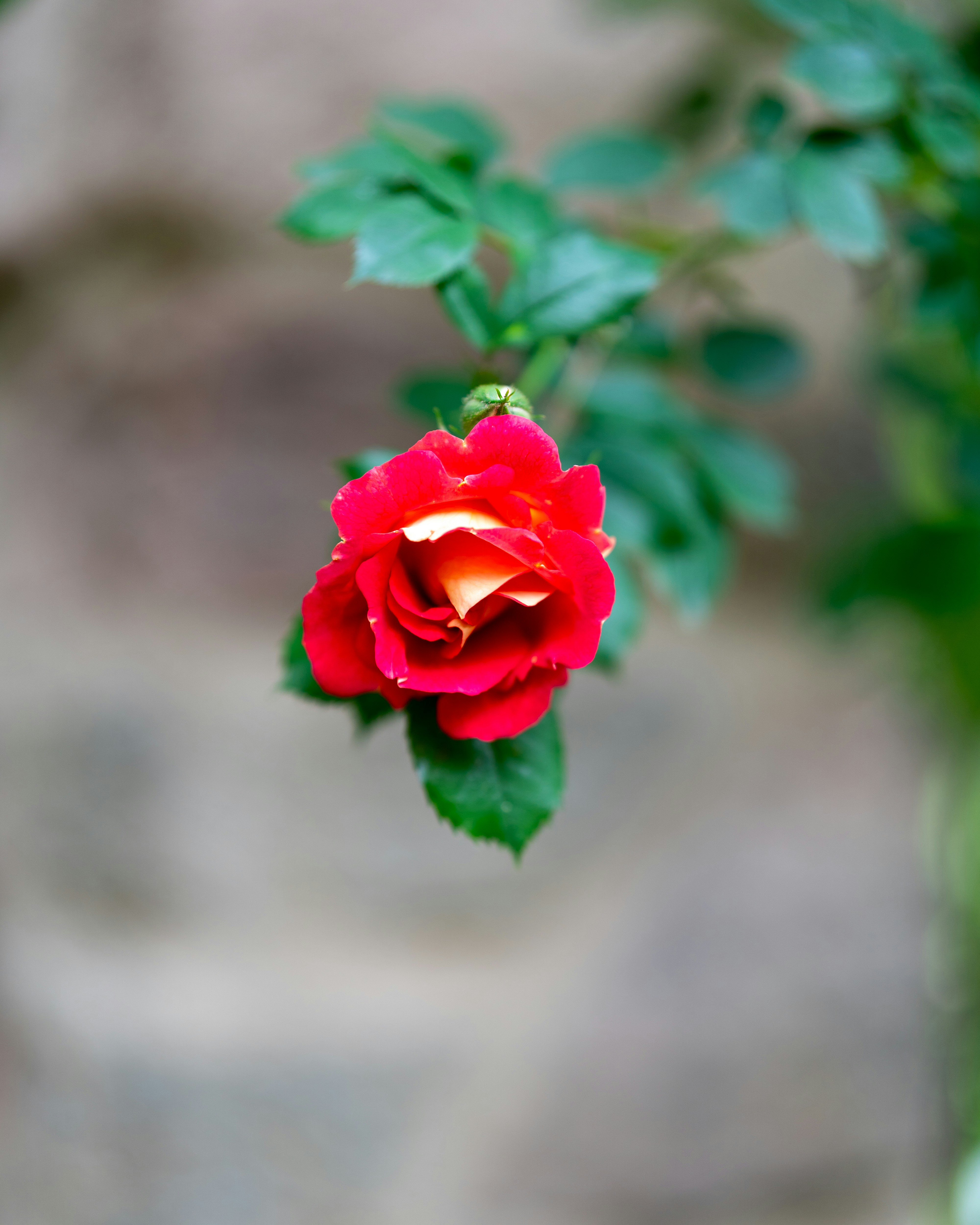 Photo by bangscreative