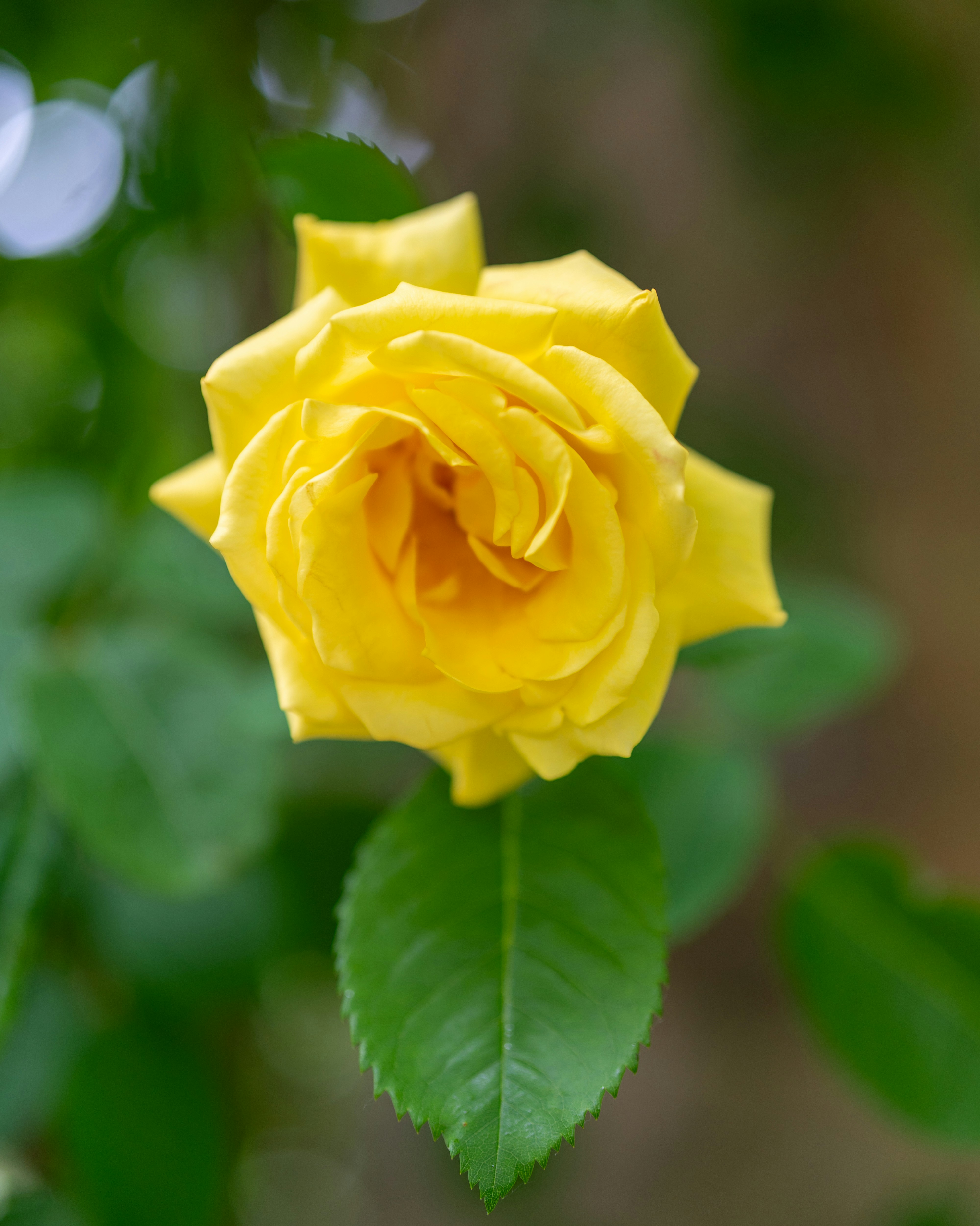 Photo by bangscreative