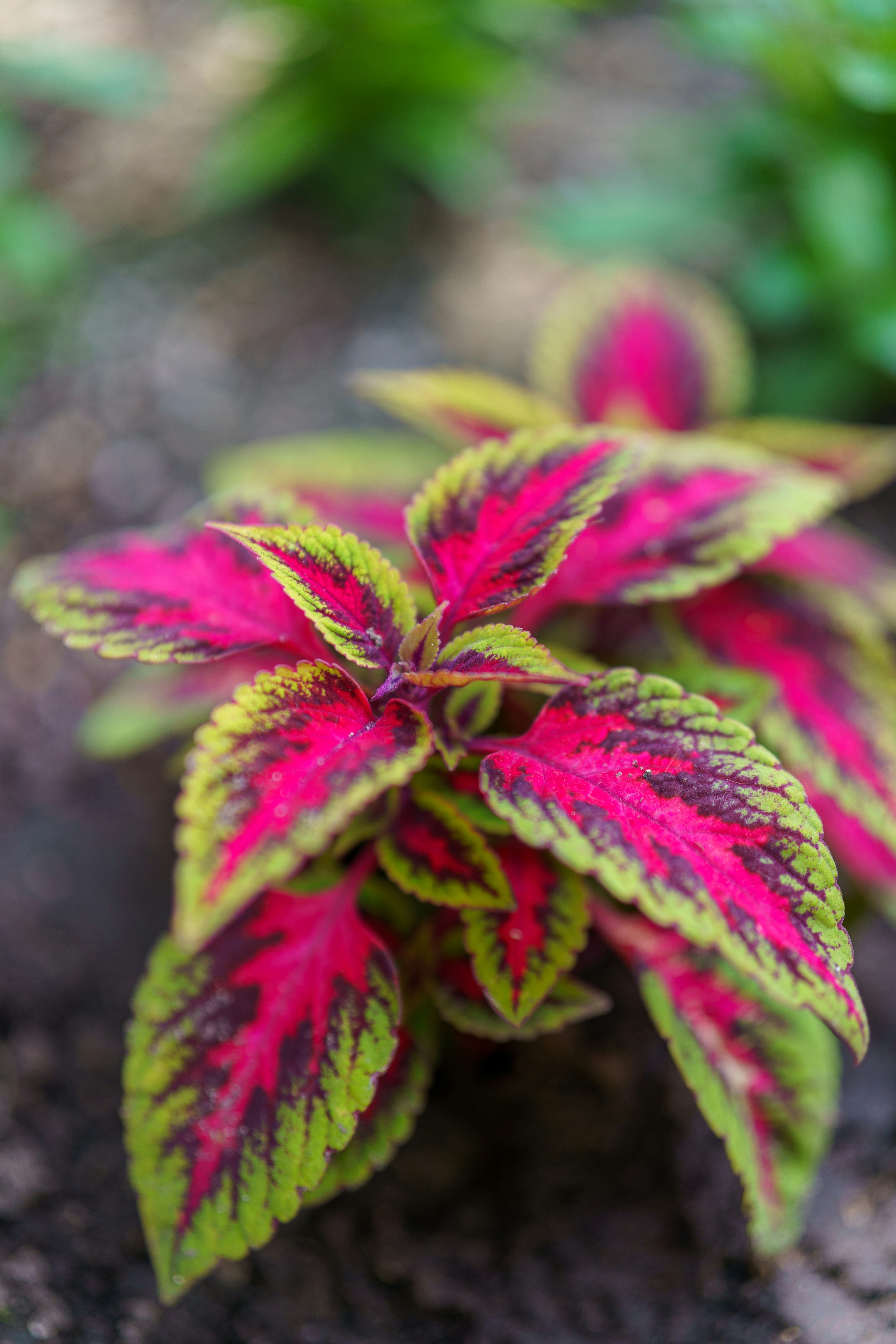 Photo by bangscreative