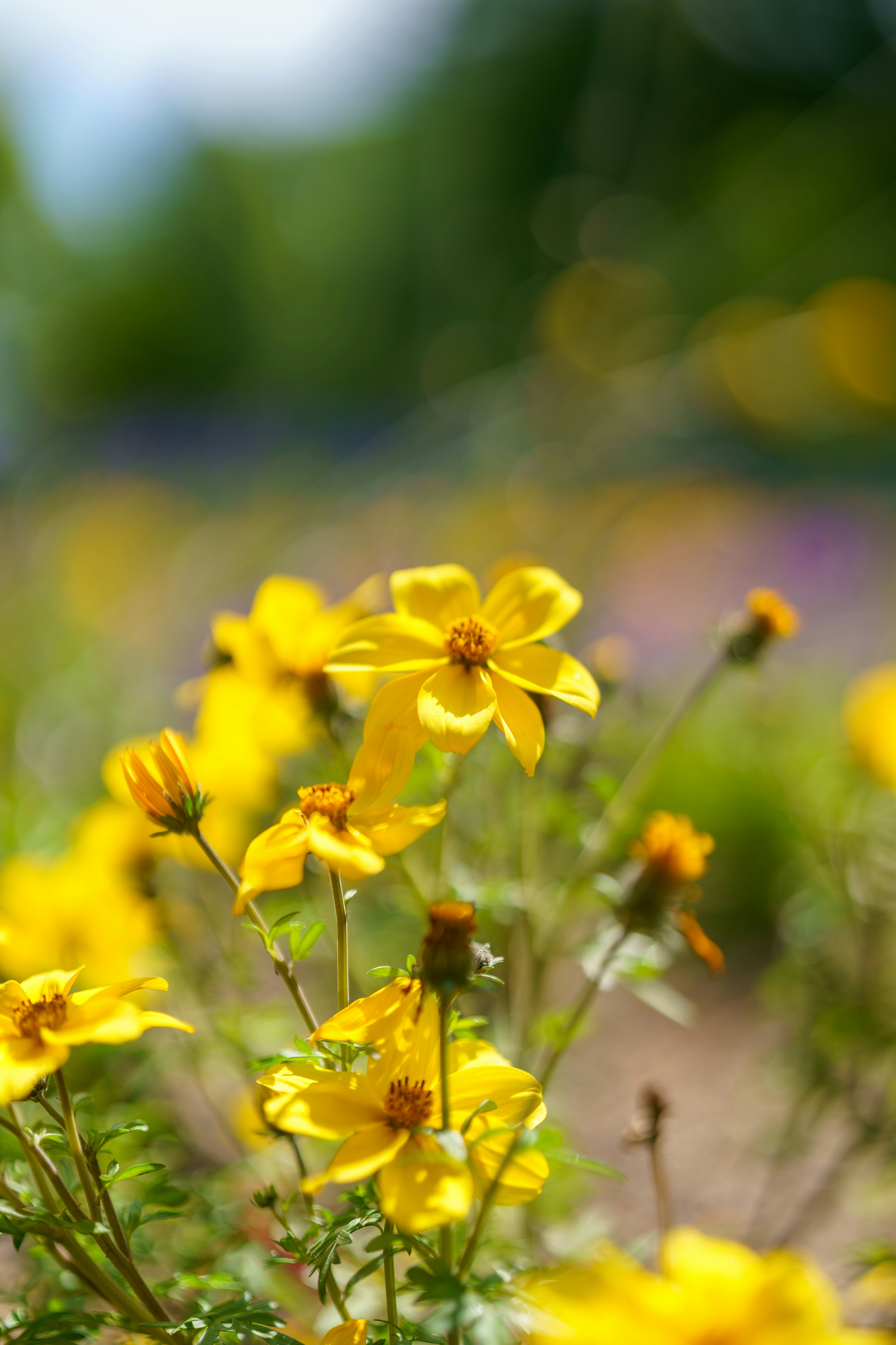 Photo by bangscreative