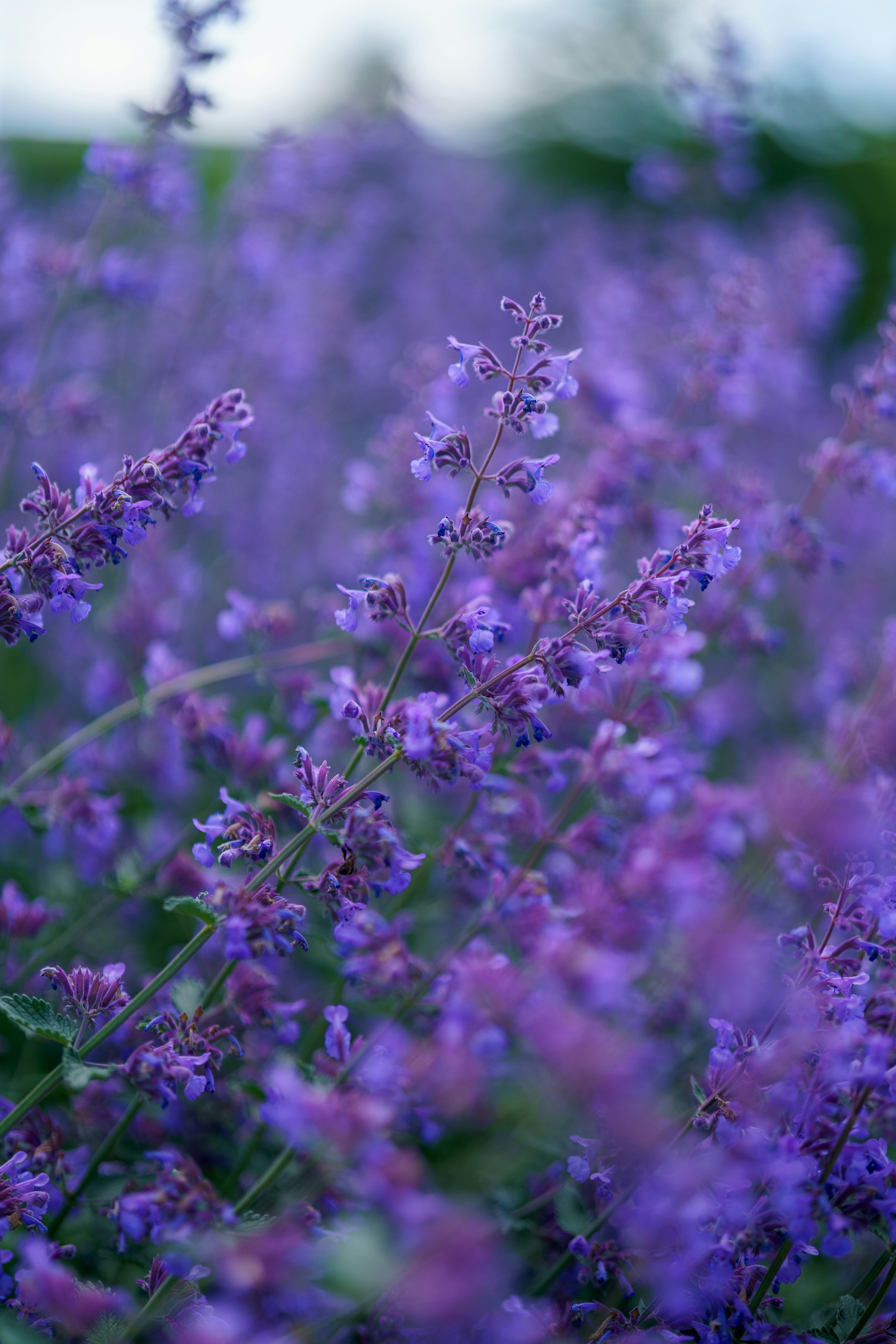 Photo by bangscreative