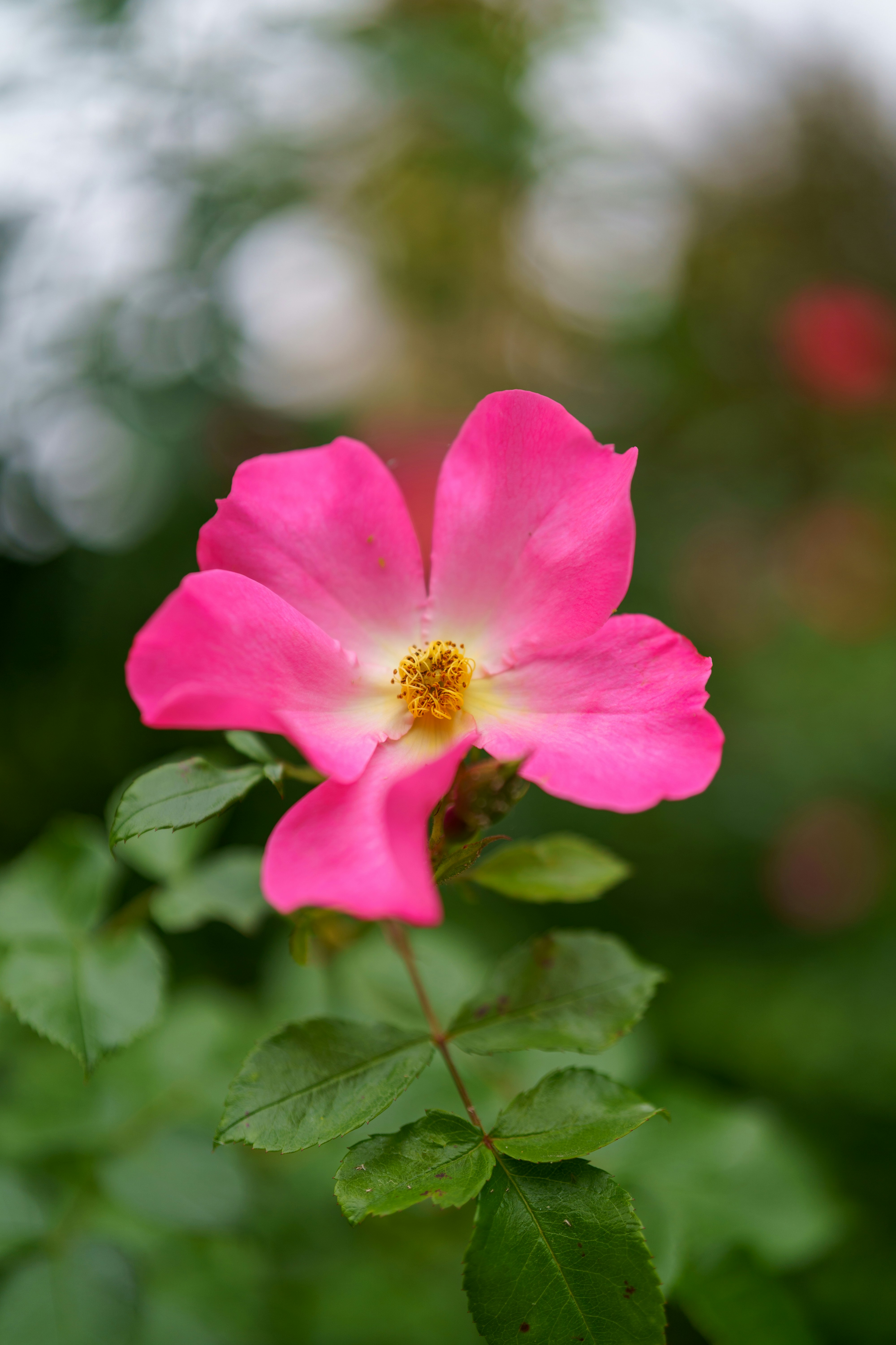 Photo by bangscreative