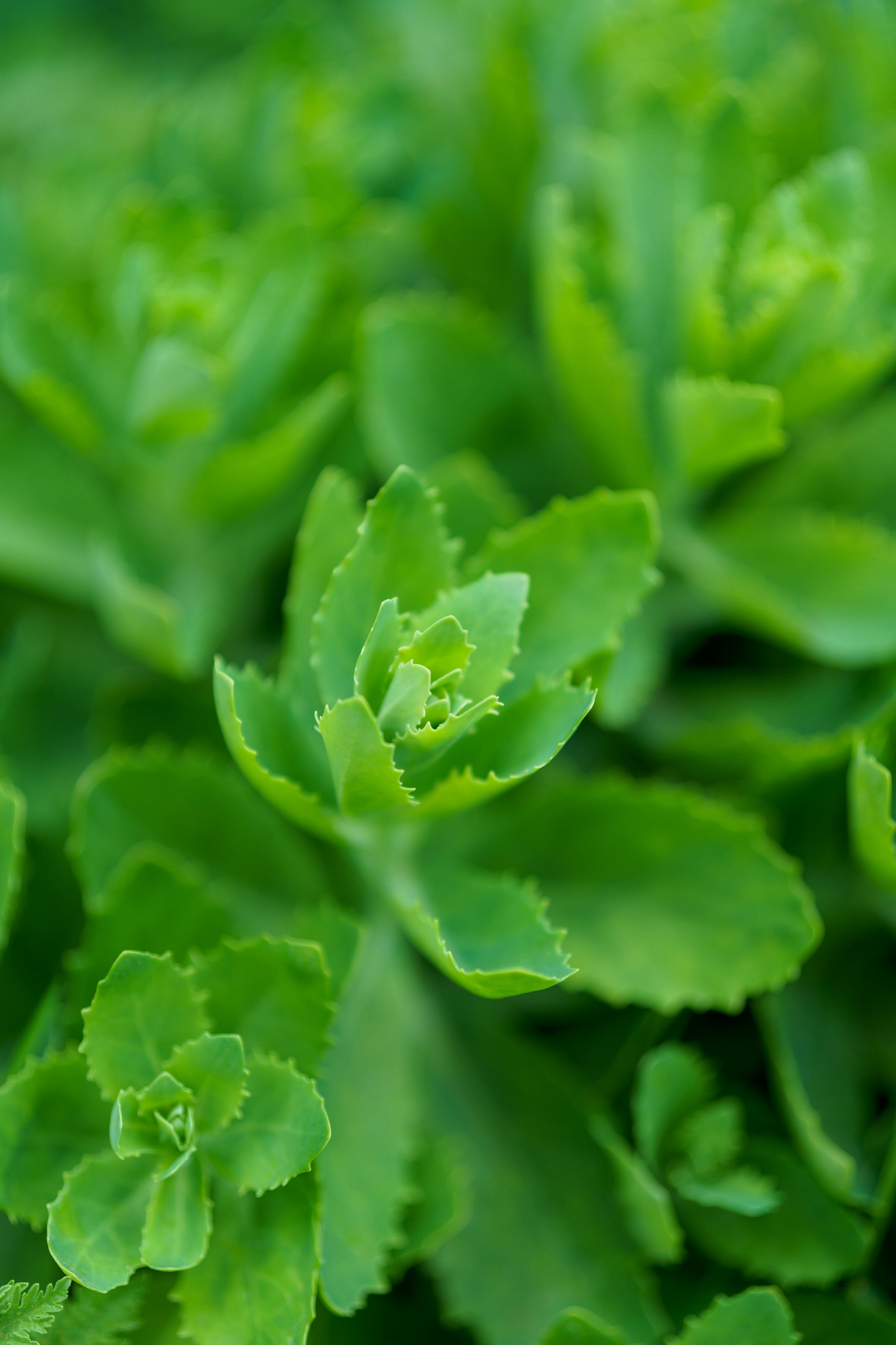 Photo by bangscreative