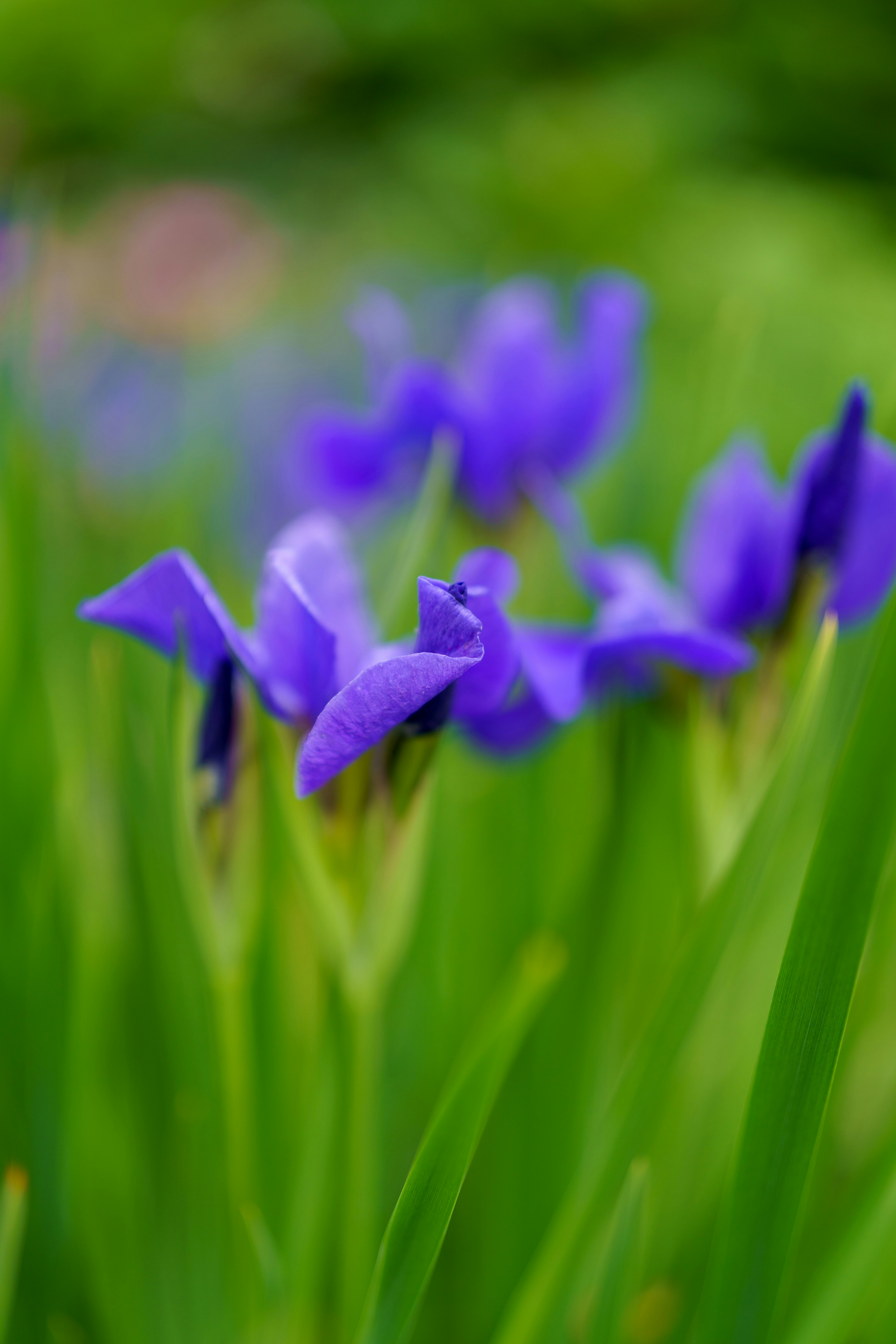 Photo by bangscreative