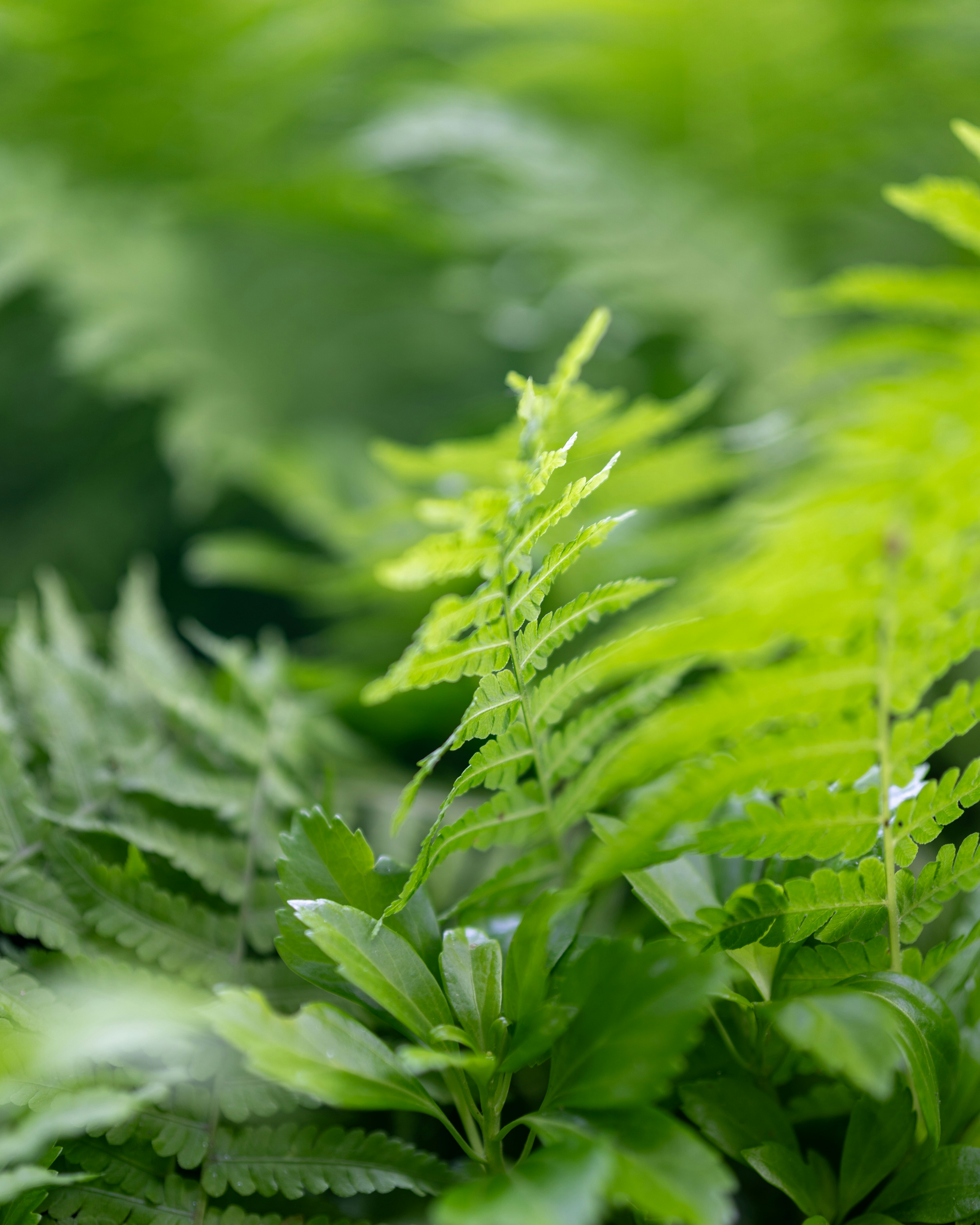 Photo by bangscreative