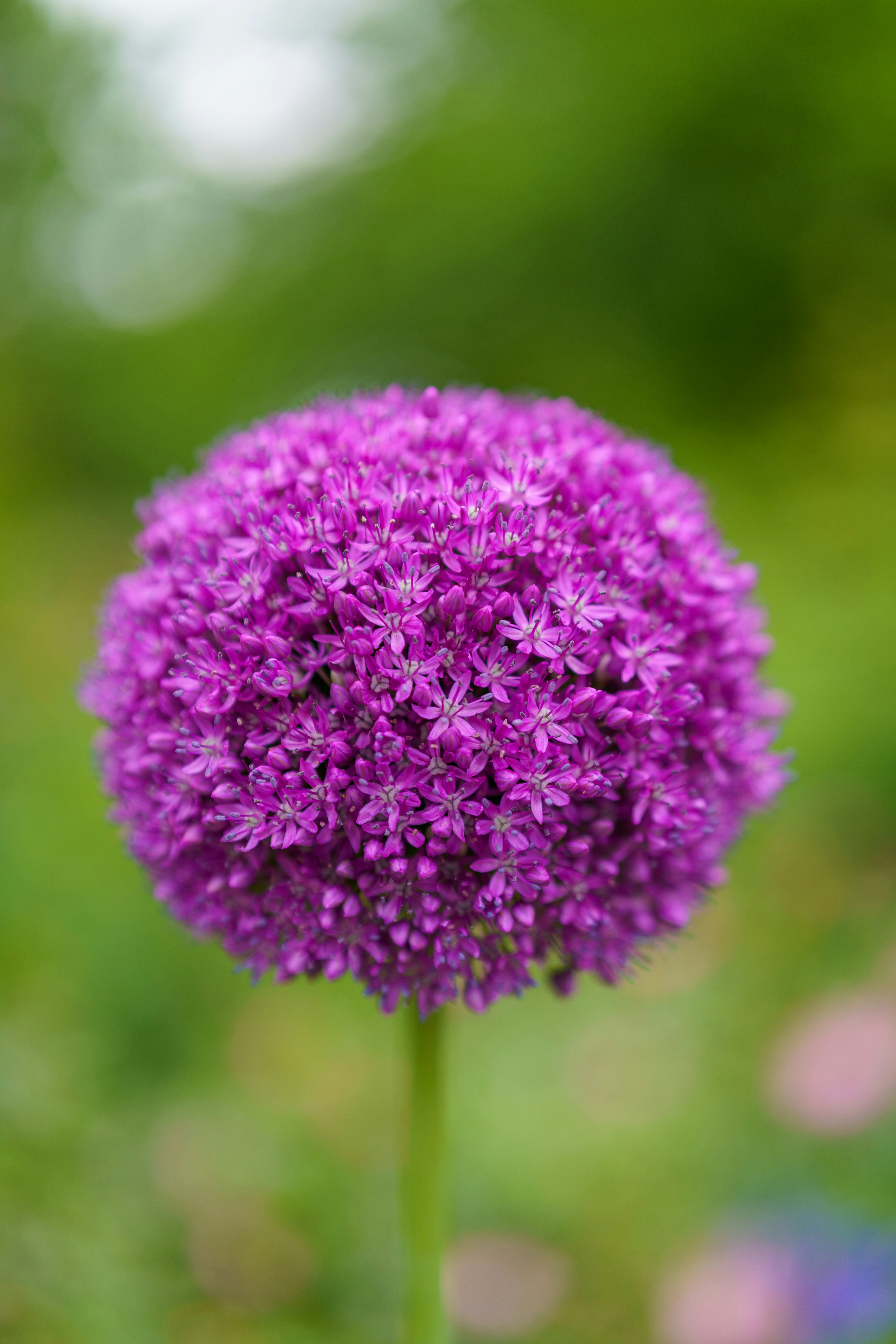 Photo by bangscreative