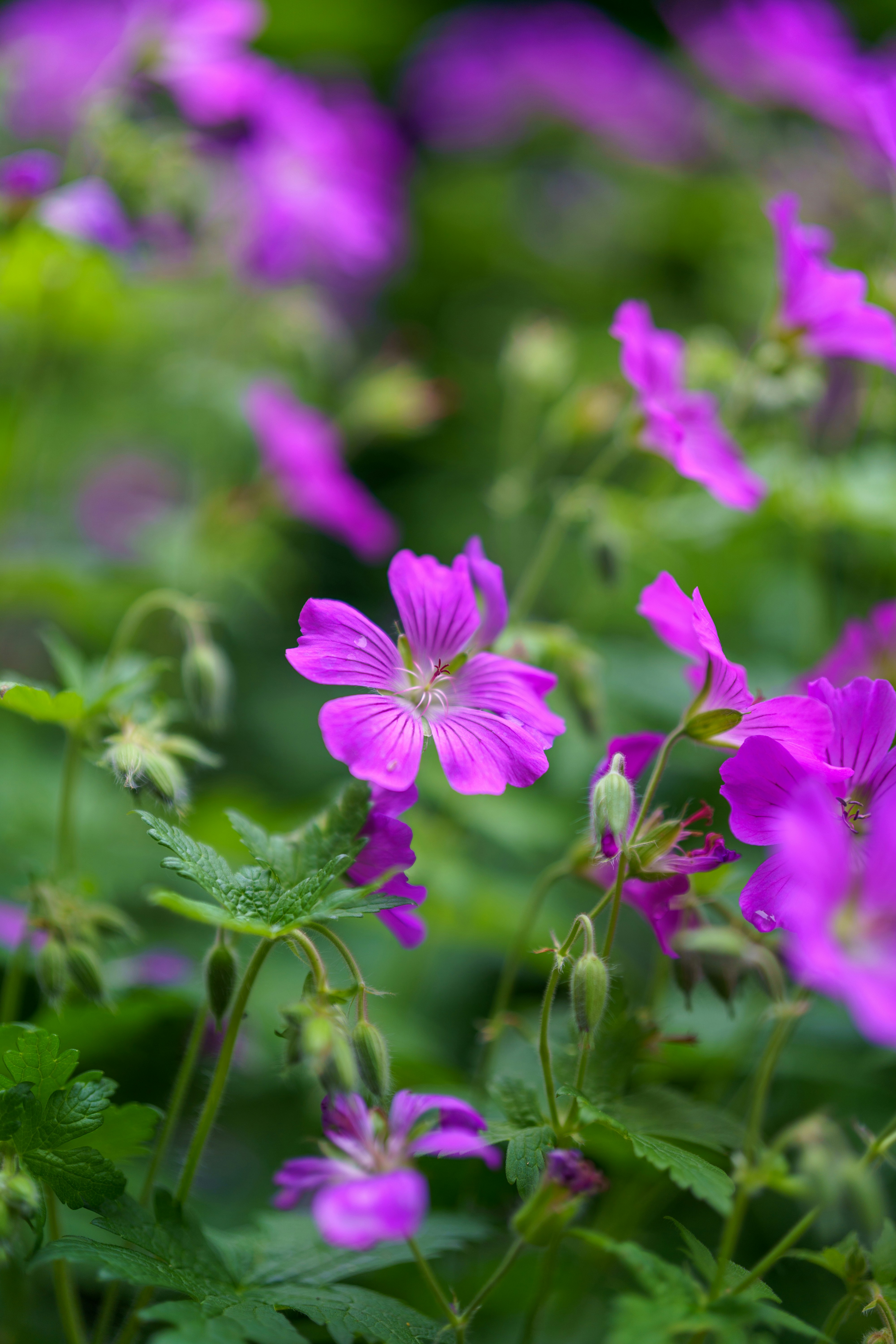 Photo by bangscreative