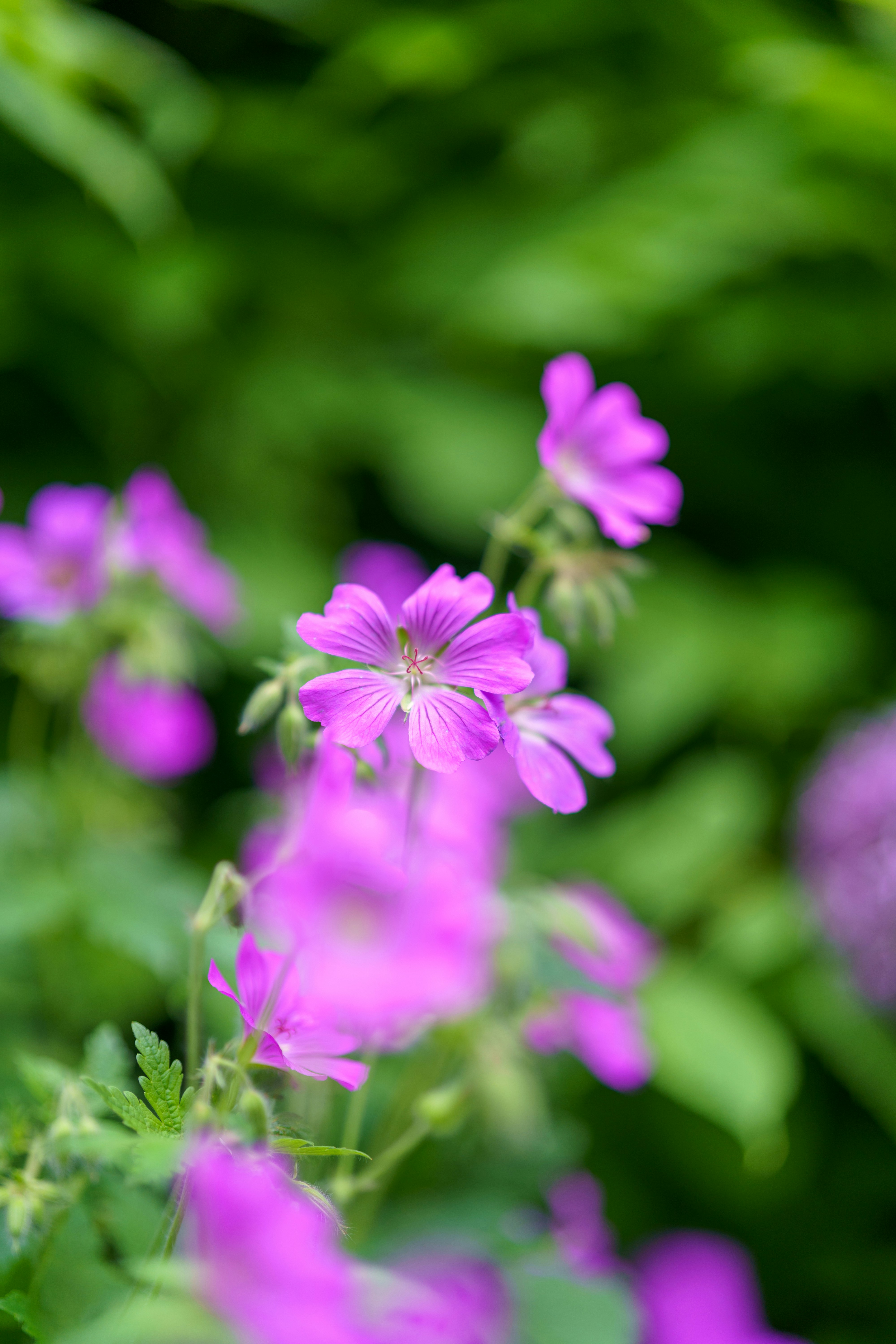 Photo by bangscreative