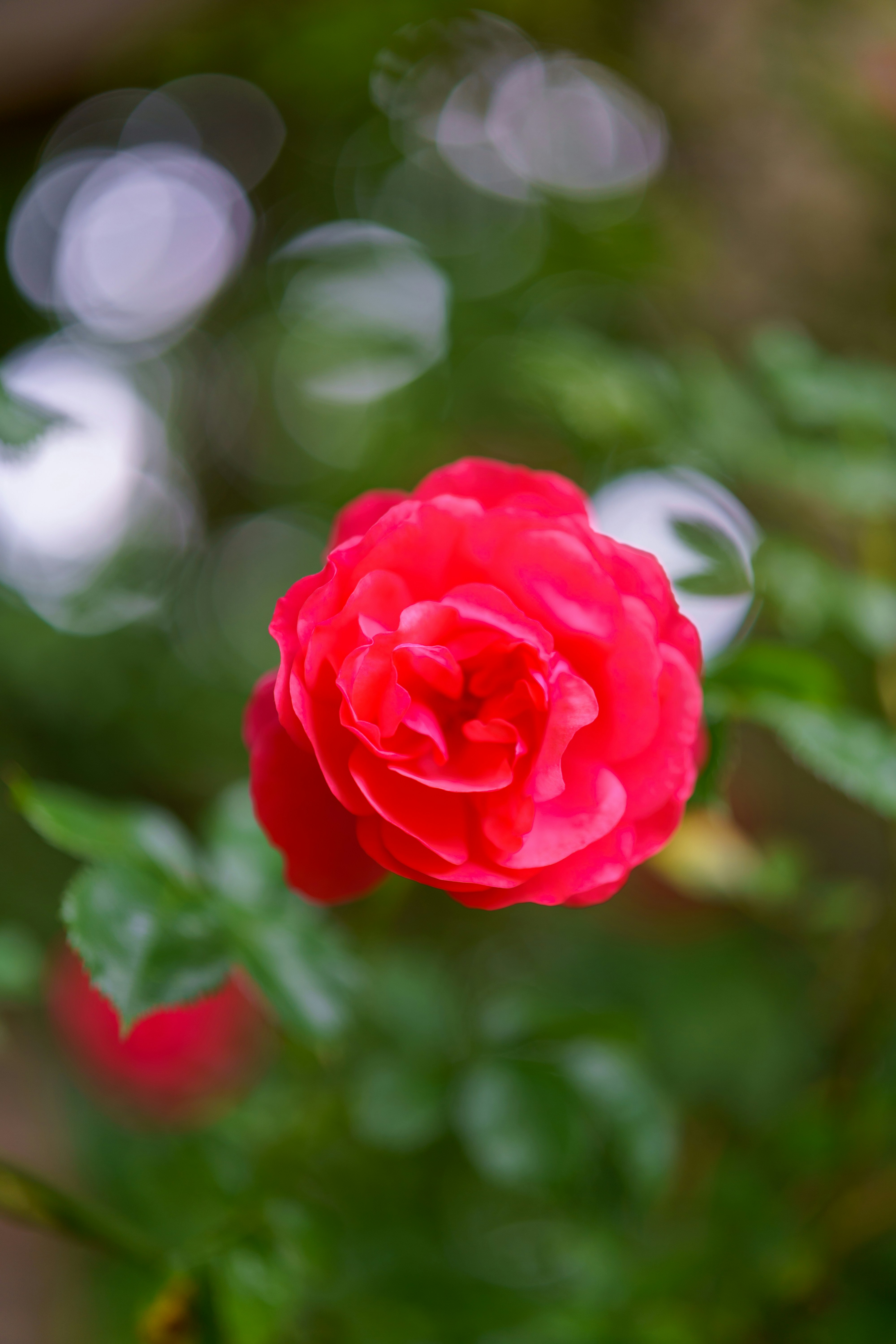 Photo by bangscreative