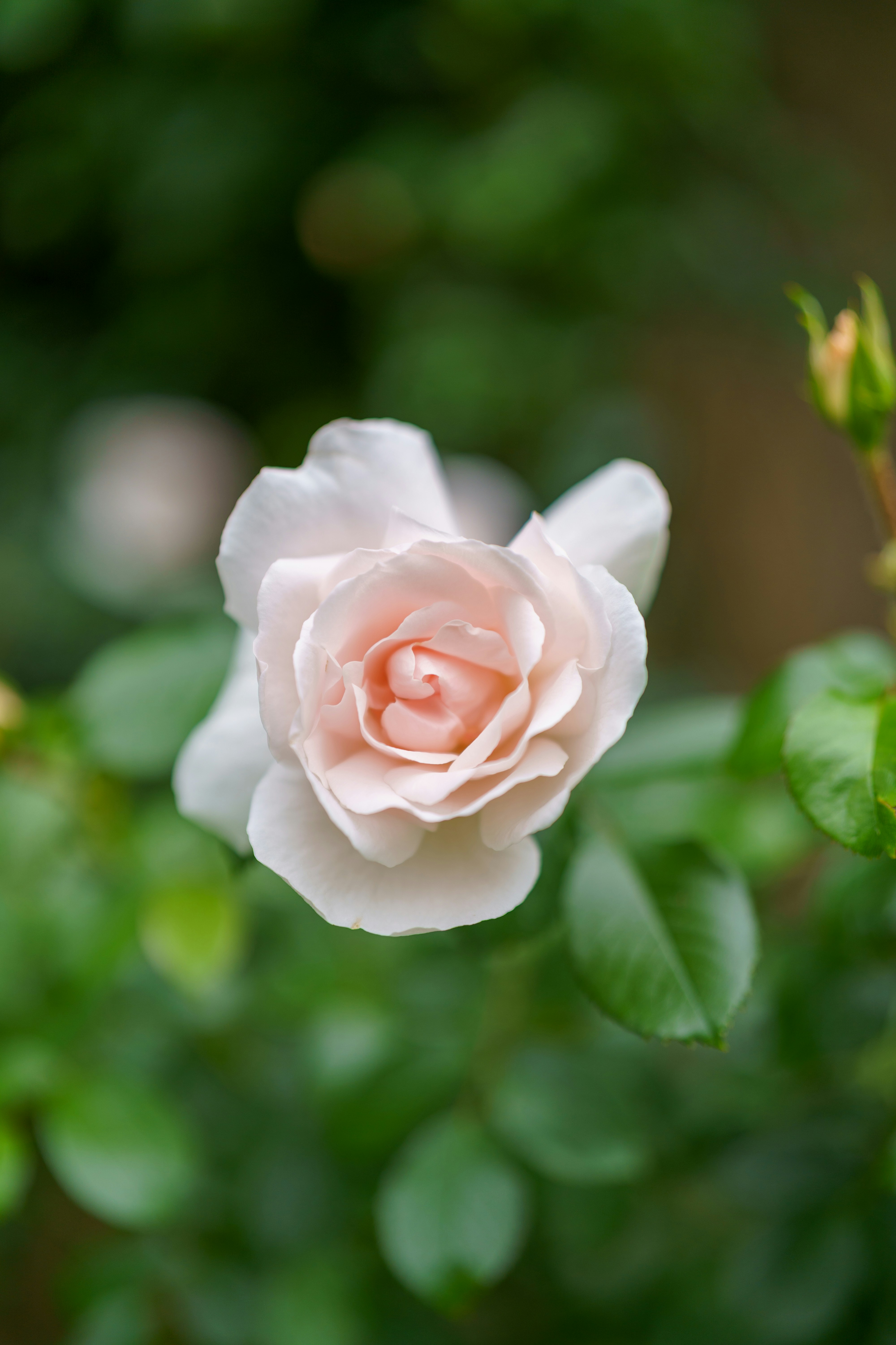 Photo by bangscreative