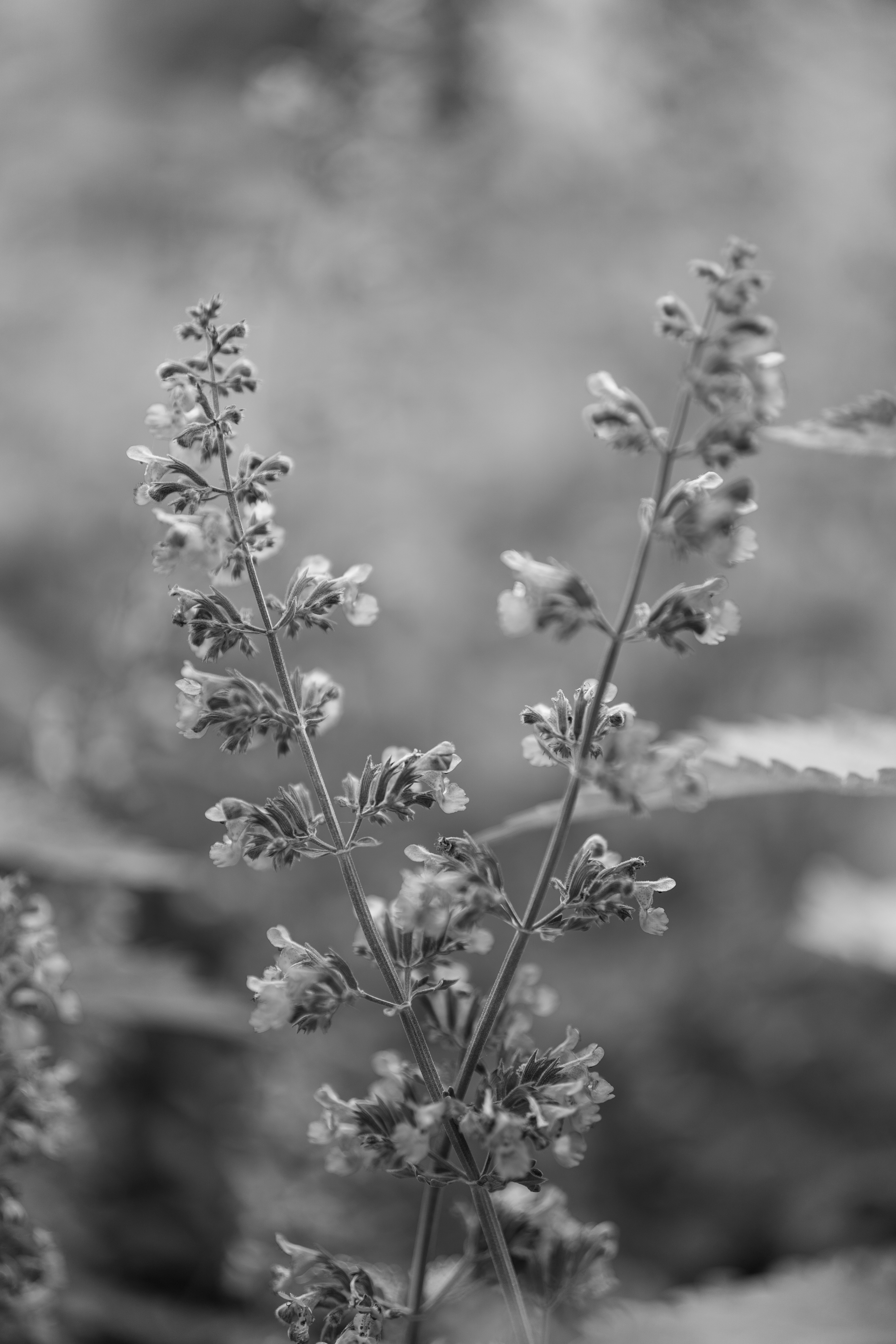 Photo by bangscreative