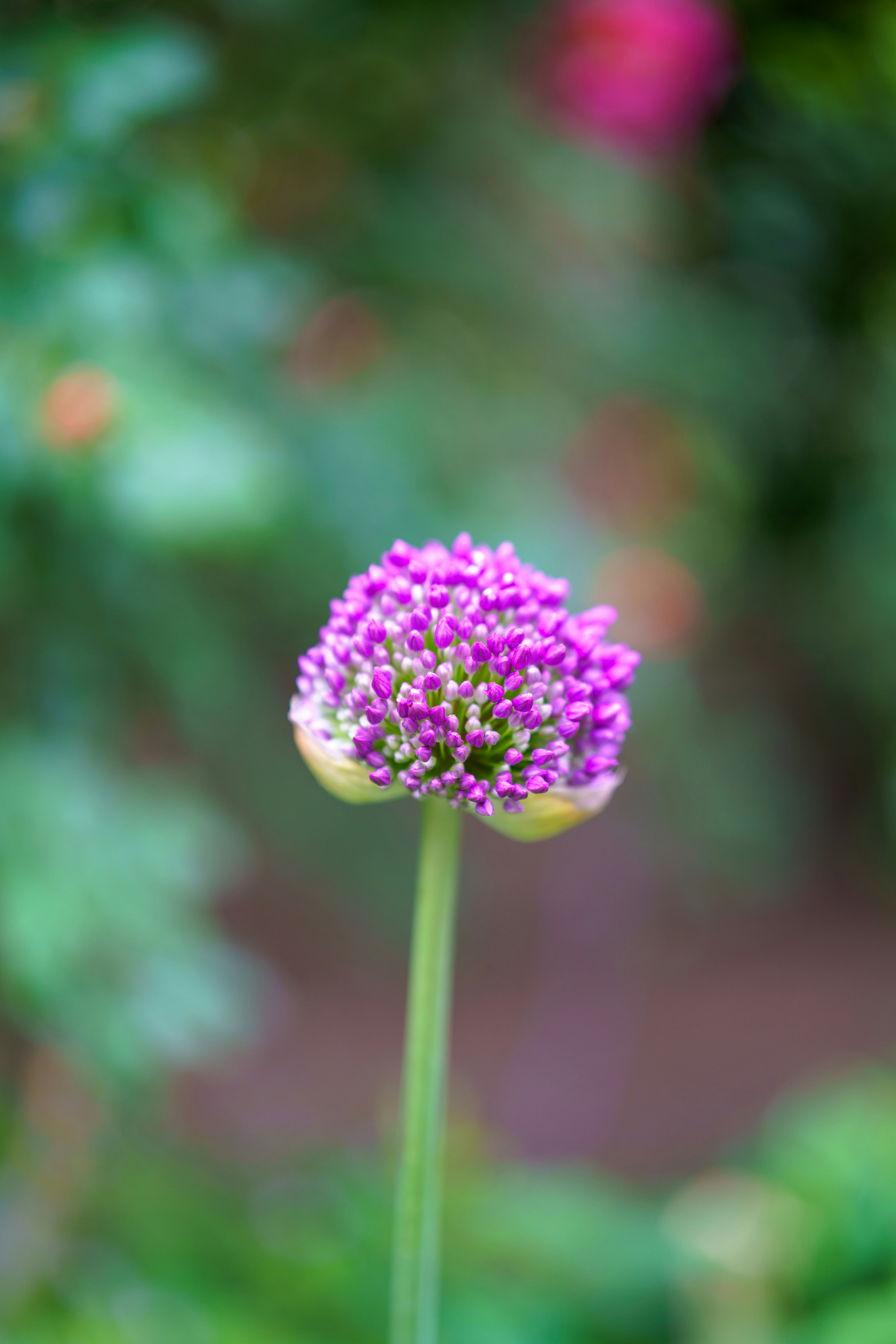 Photo by bangscreative