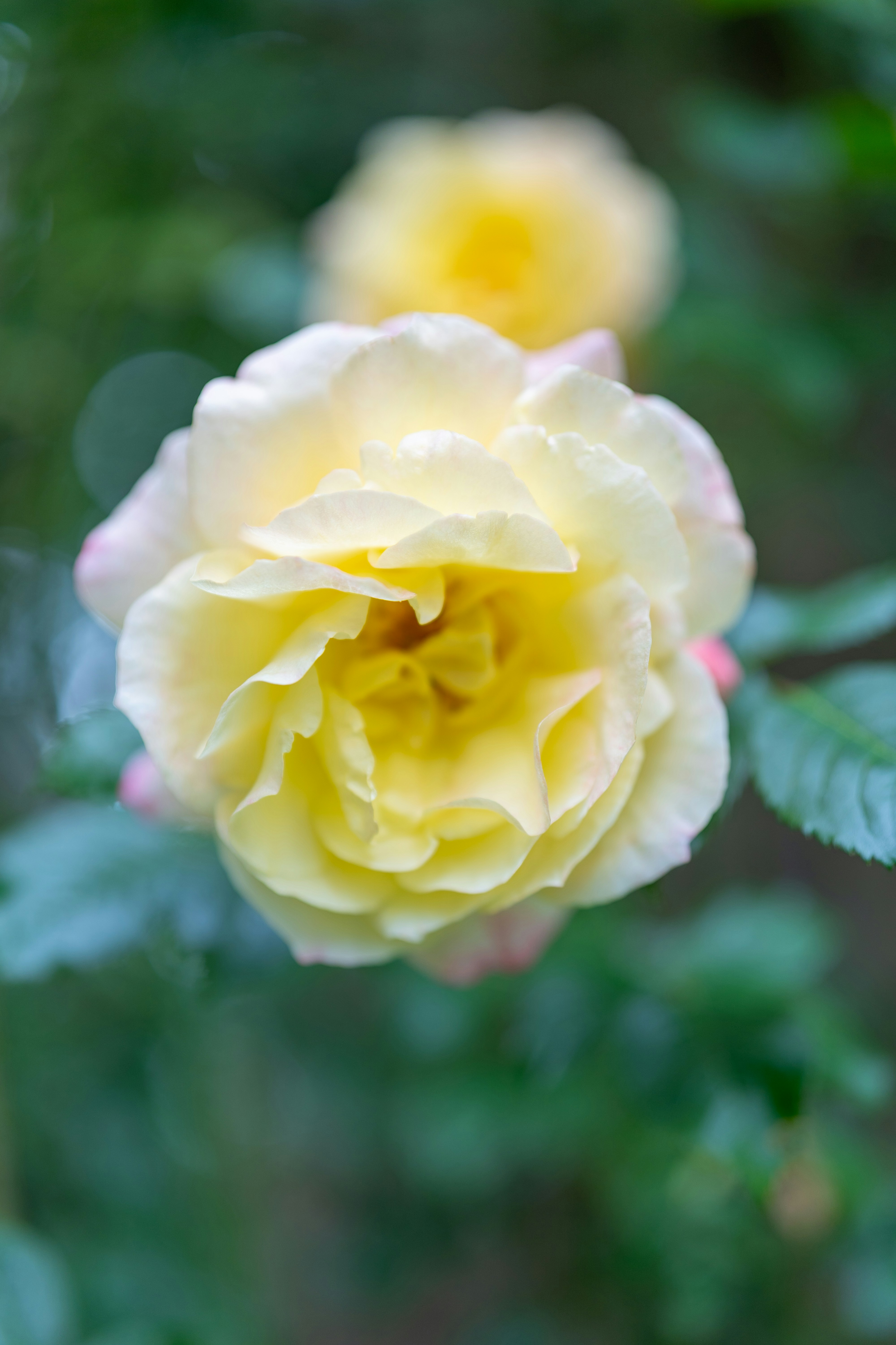 Photo by bangscreative