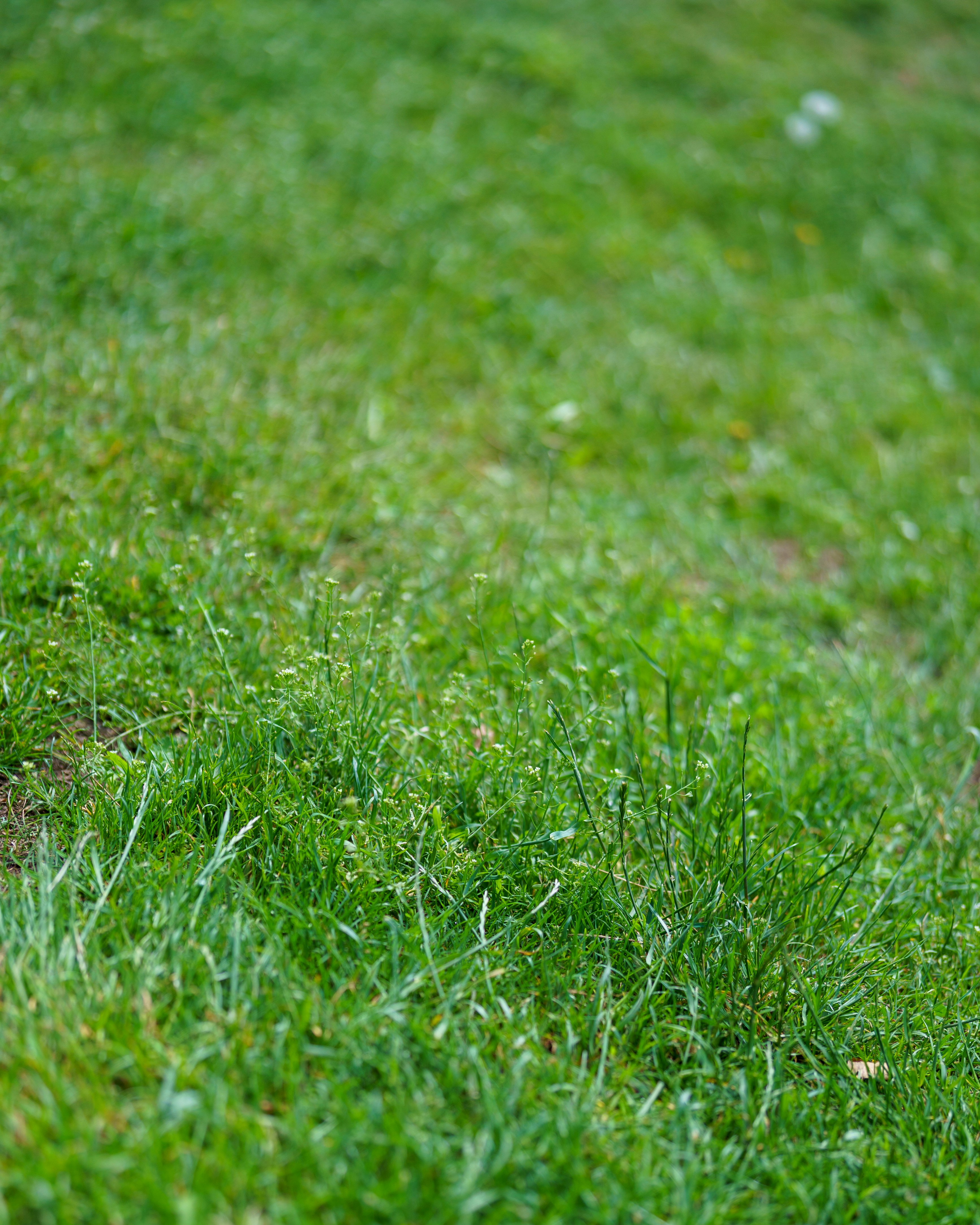 Photo by bangscreative