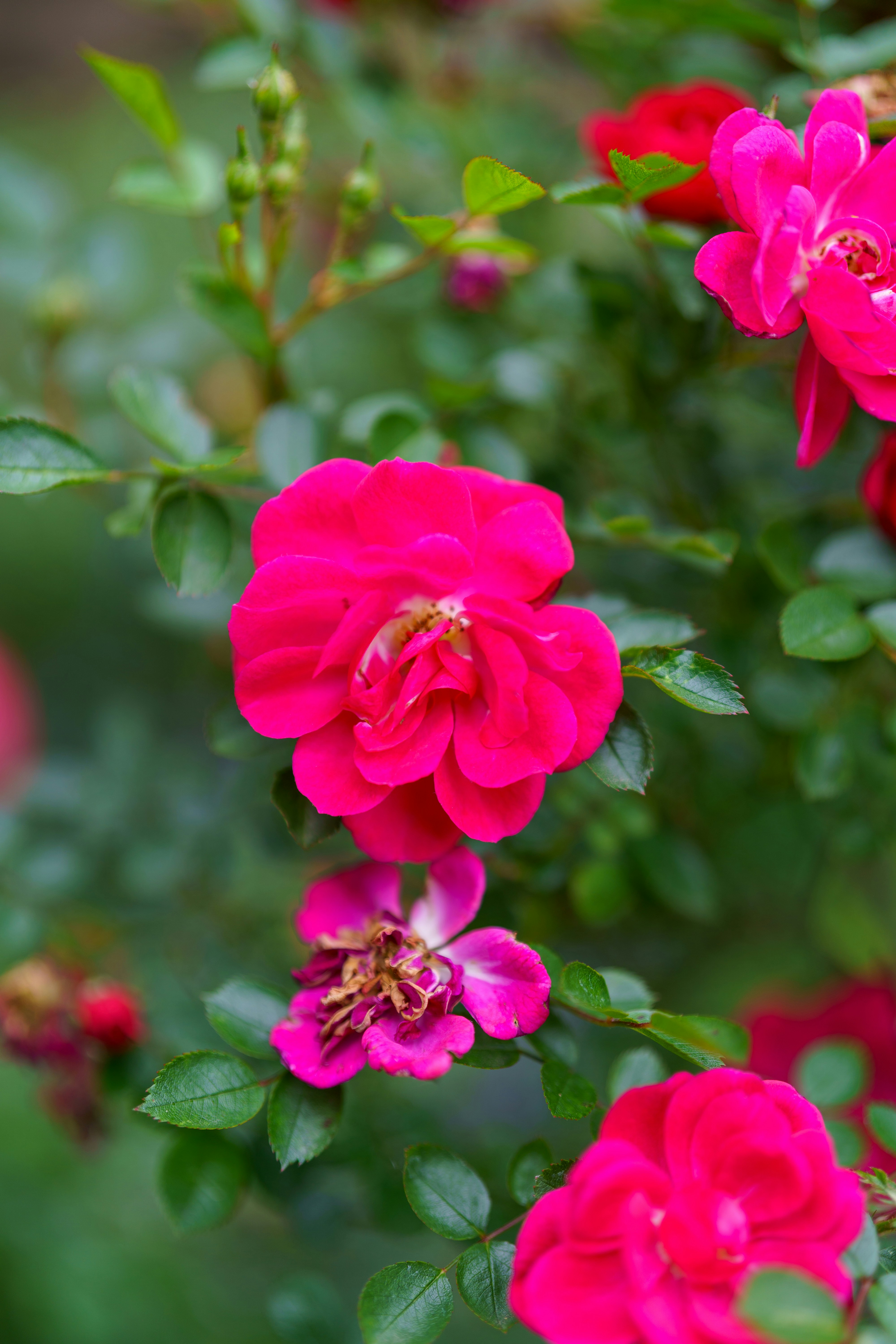 Photo by bangscreative