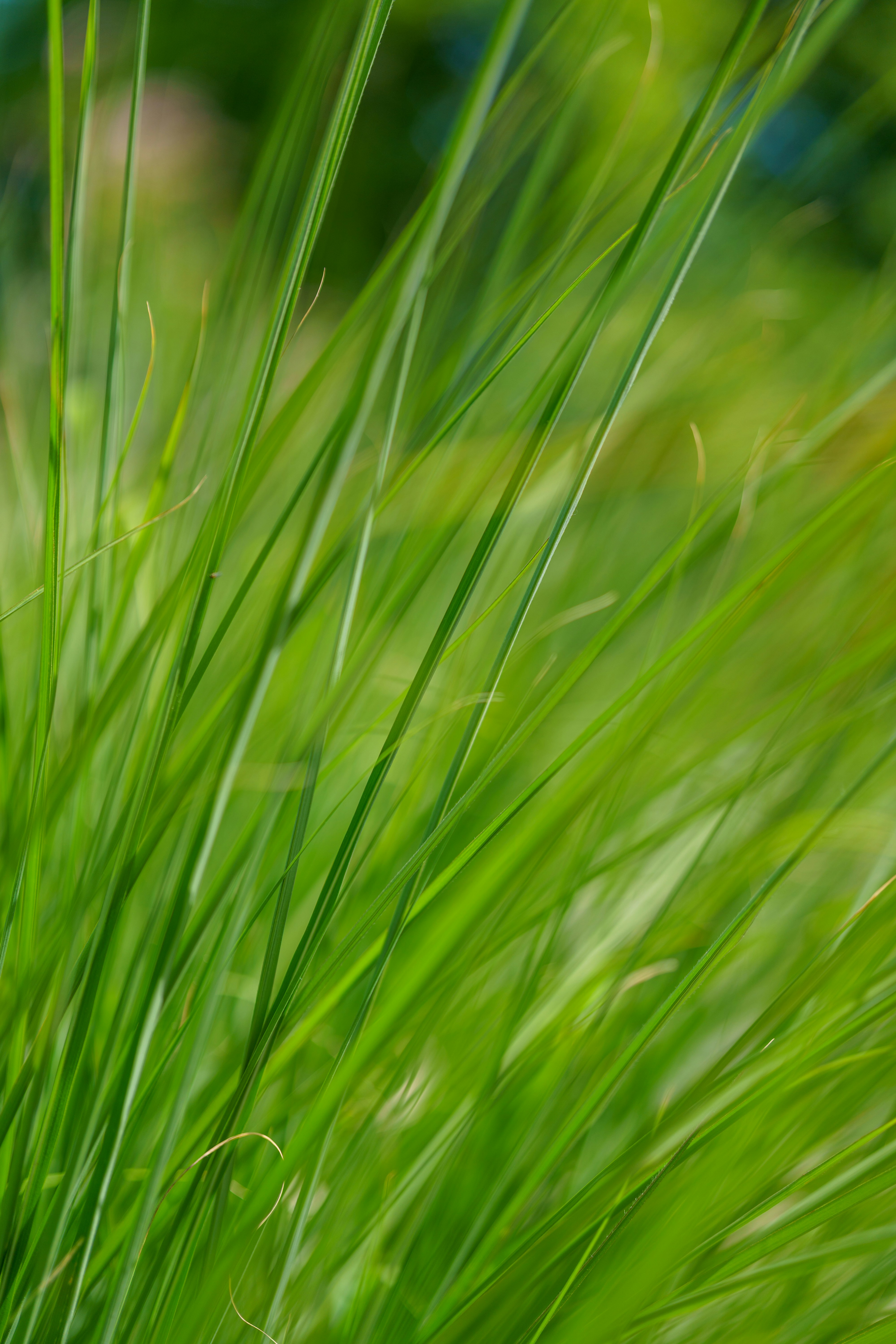 Photo by bangscreative