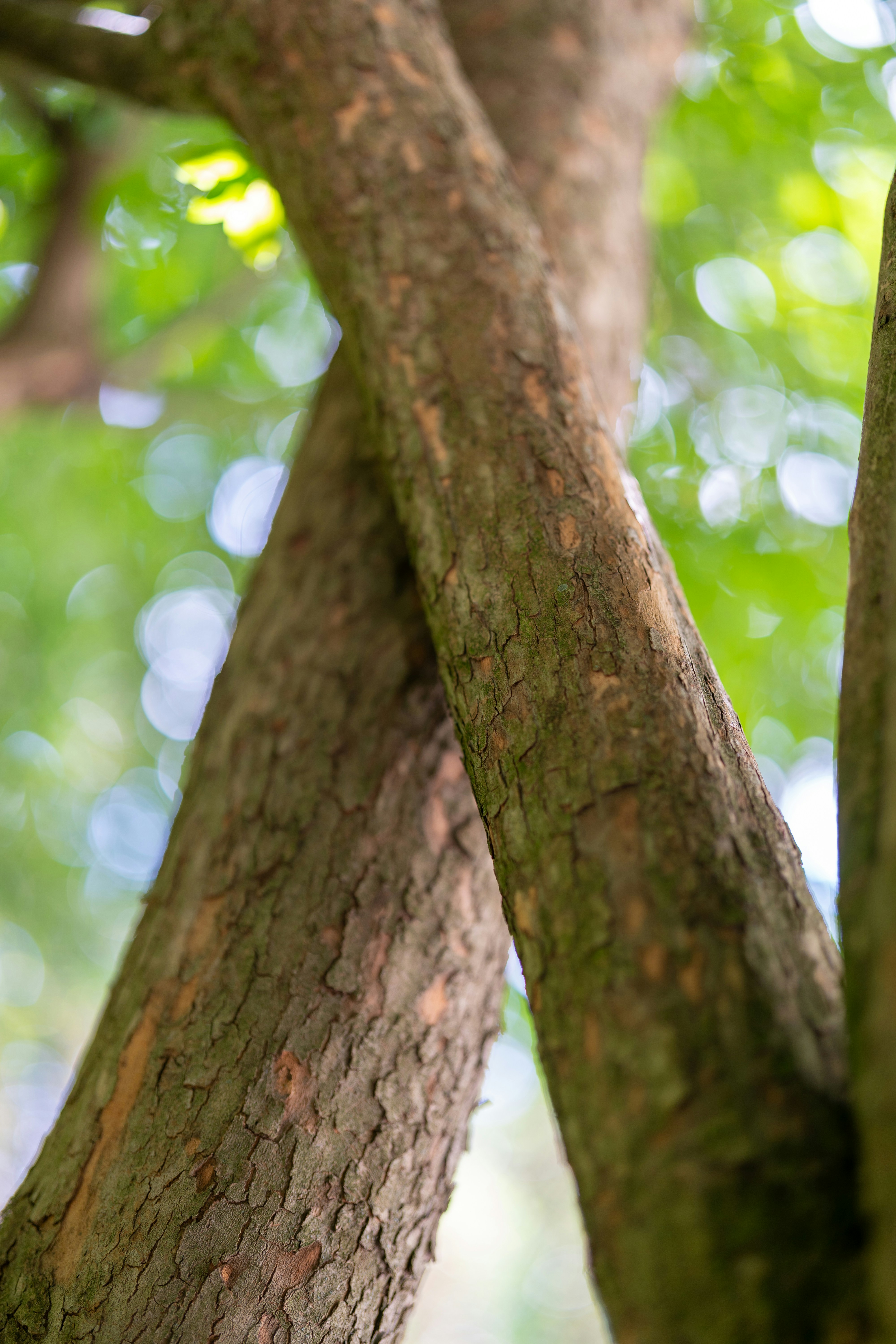 Photo by bangscreative