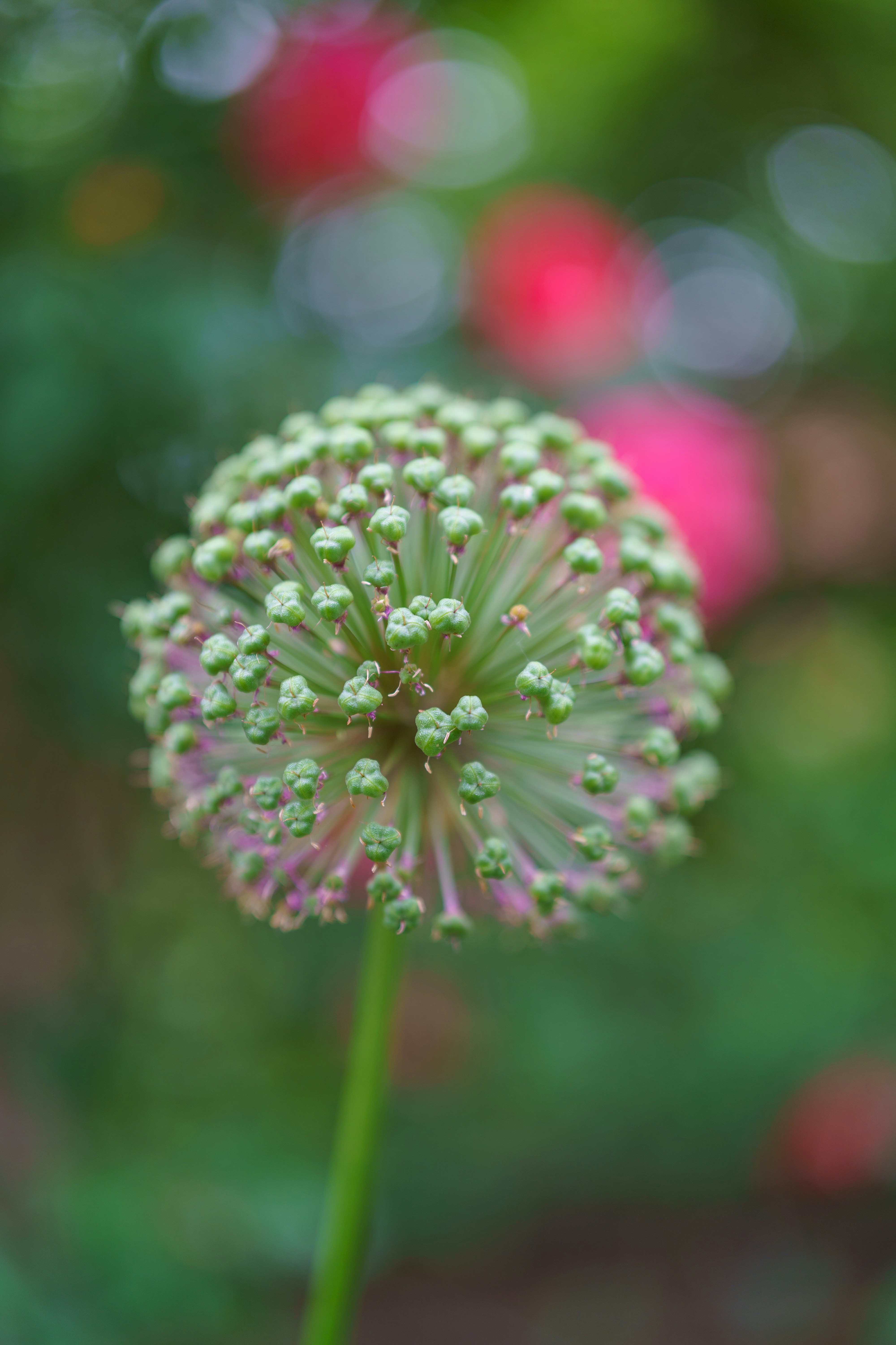 Photo by bangscreative