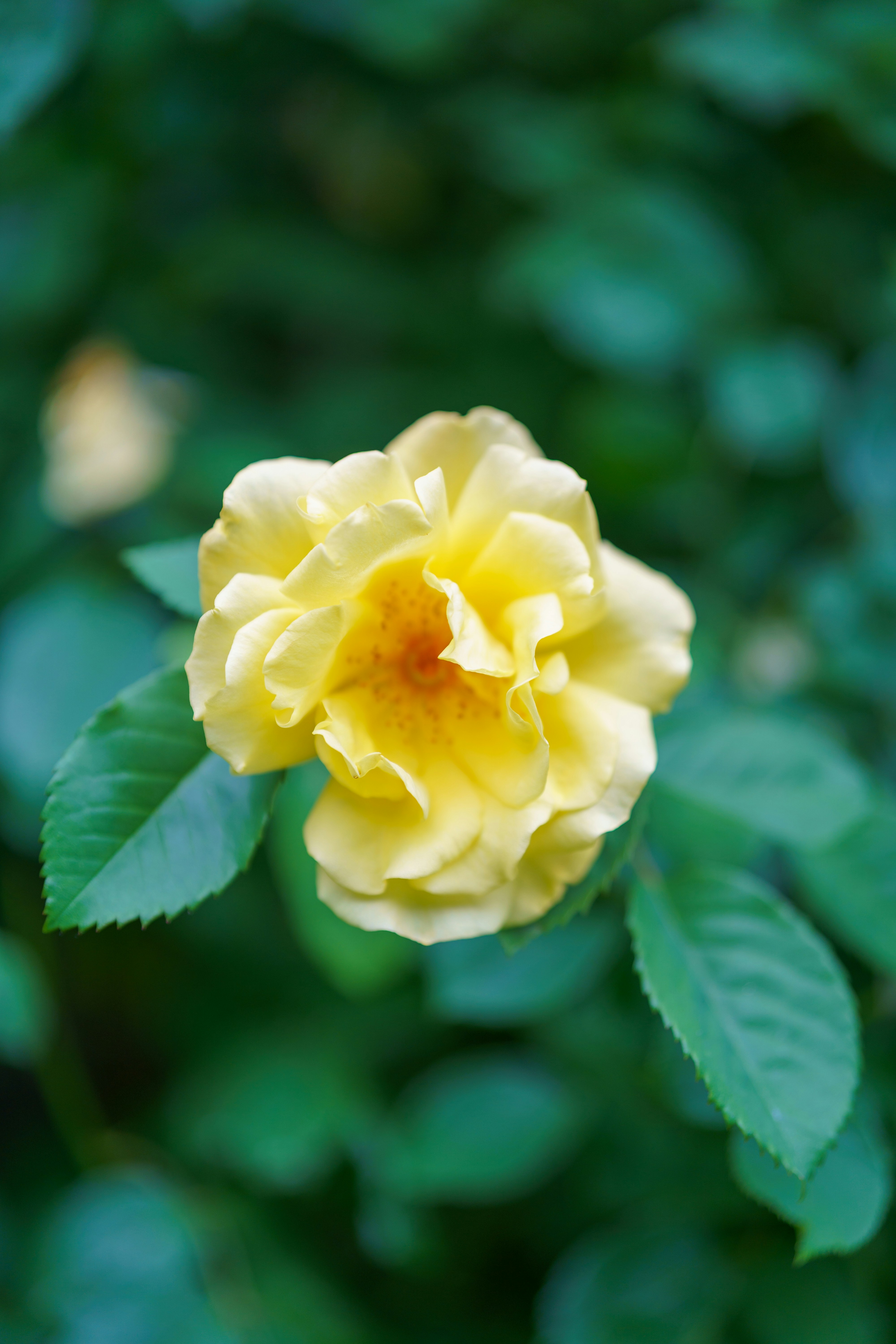 Photo by bangscreative