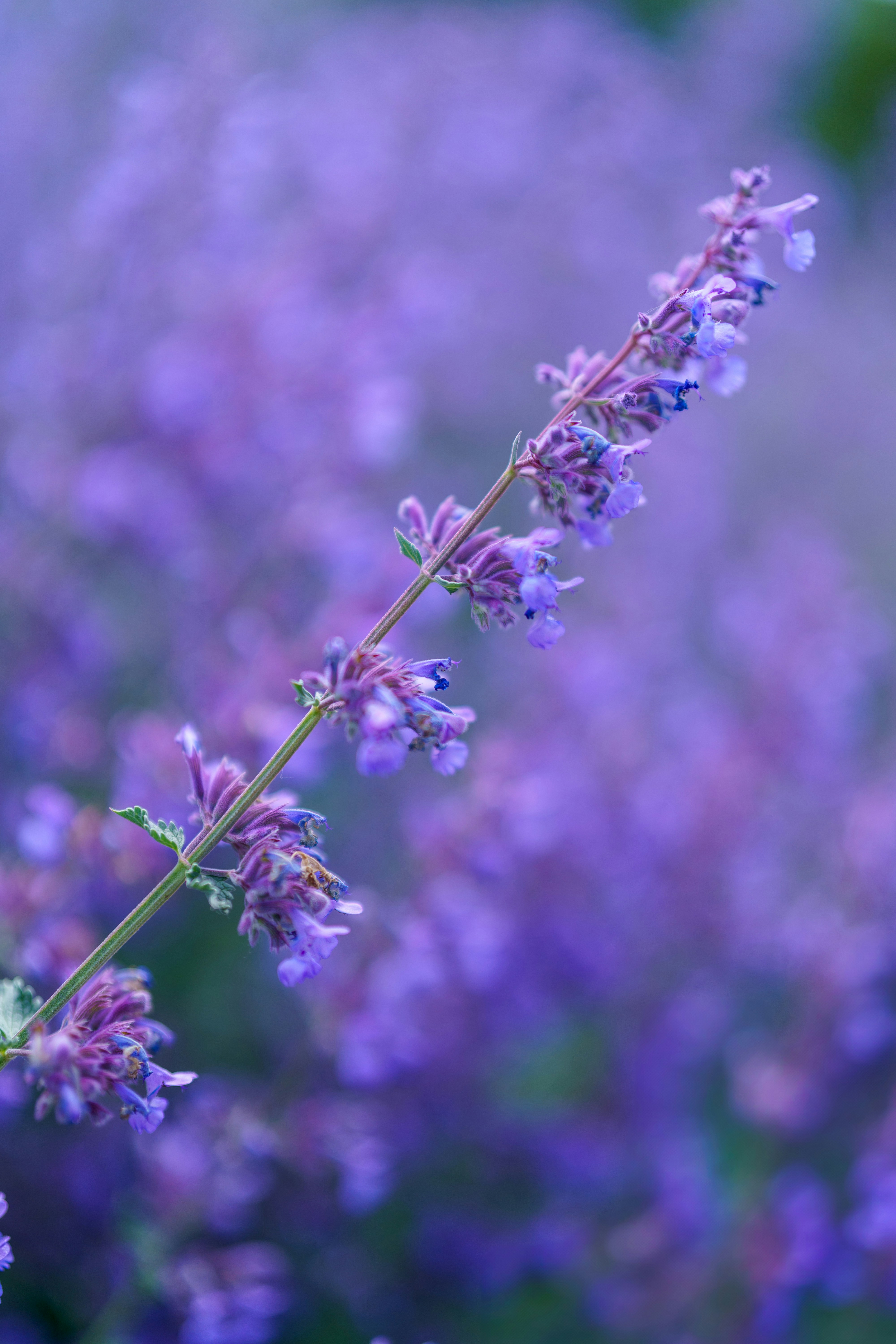 Photo by bangscreative