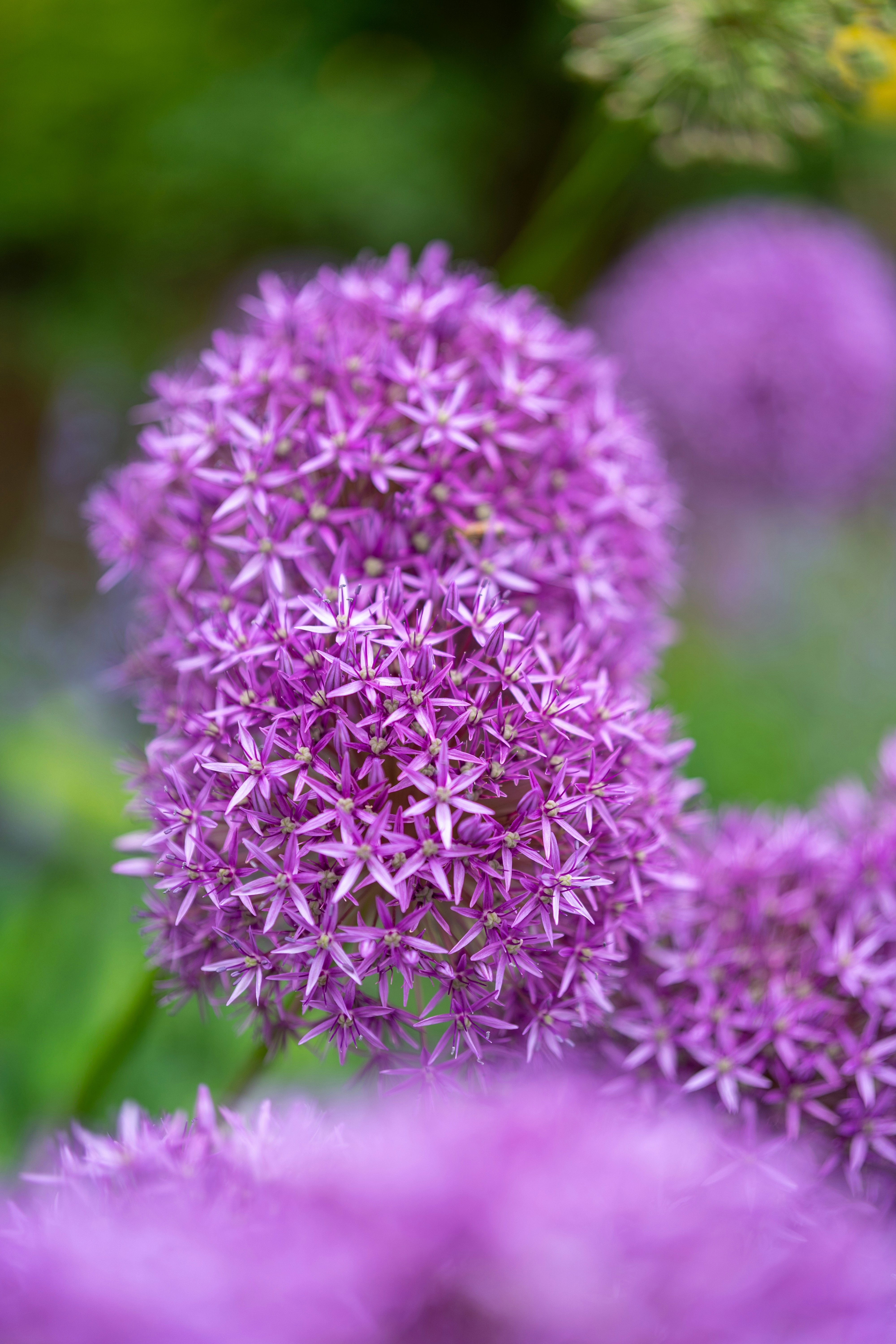 Photo by bangscreative