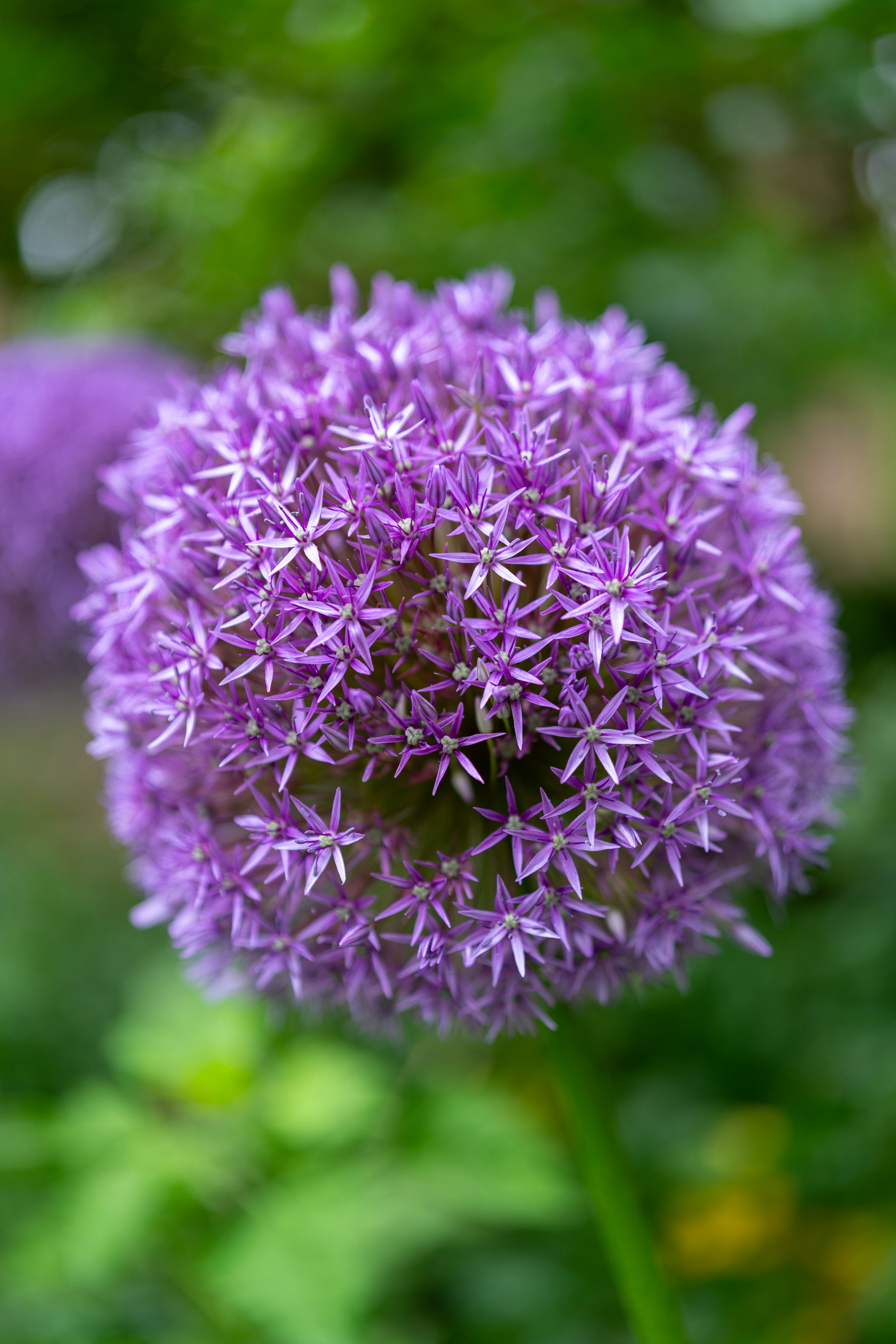 Photo by bangscreative