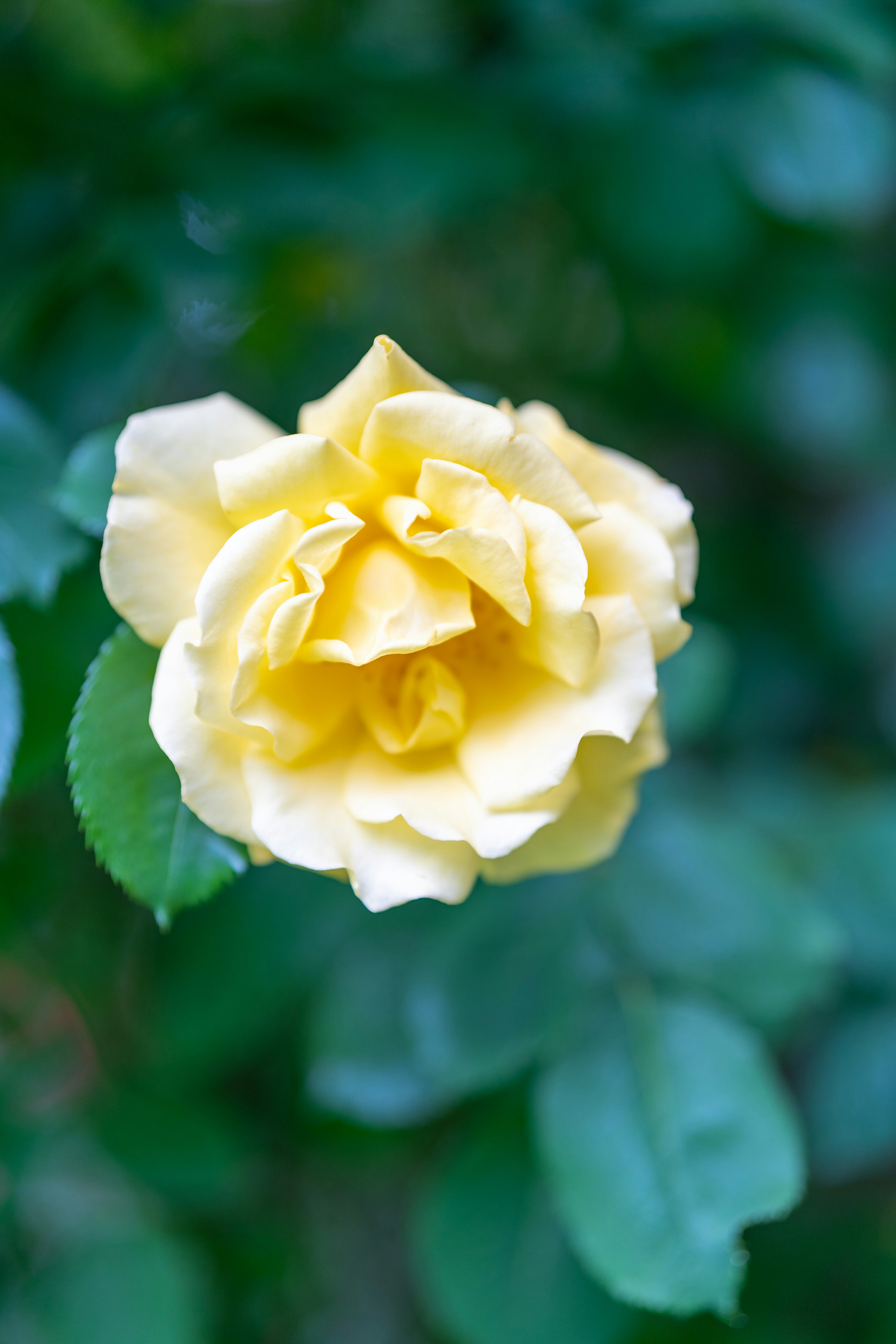 Photo by bangscreative