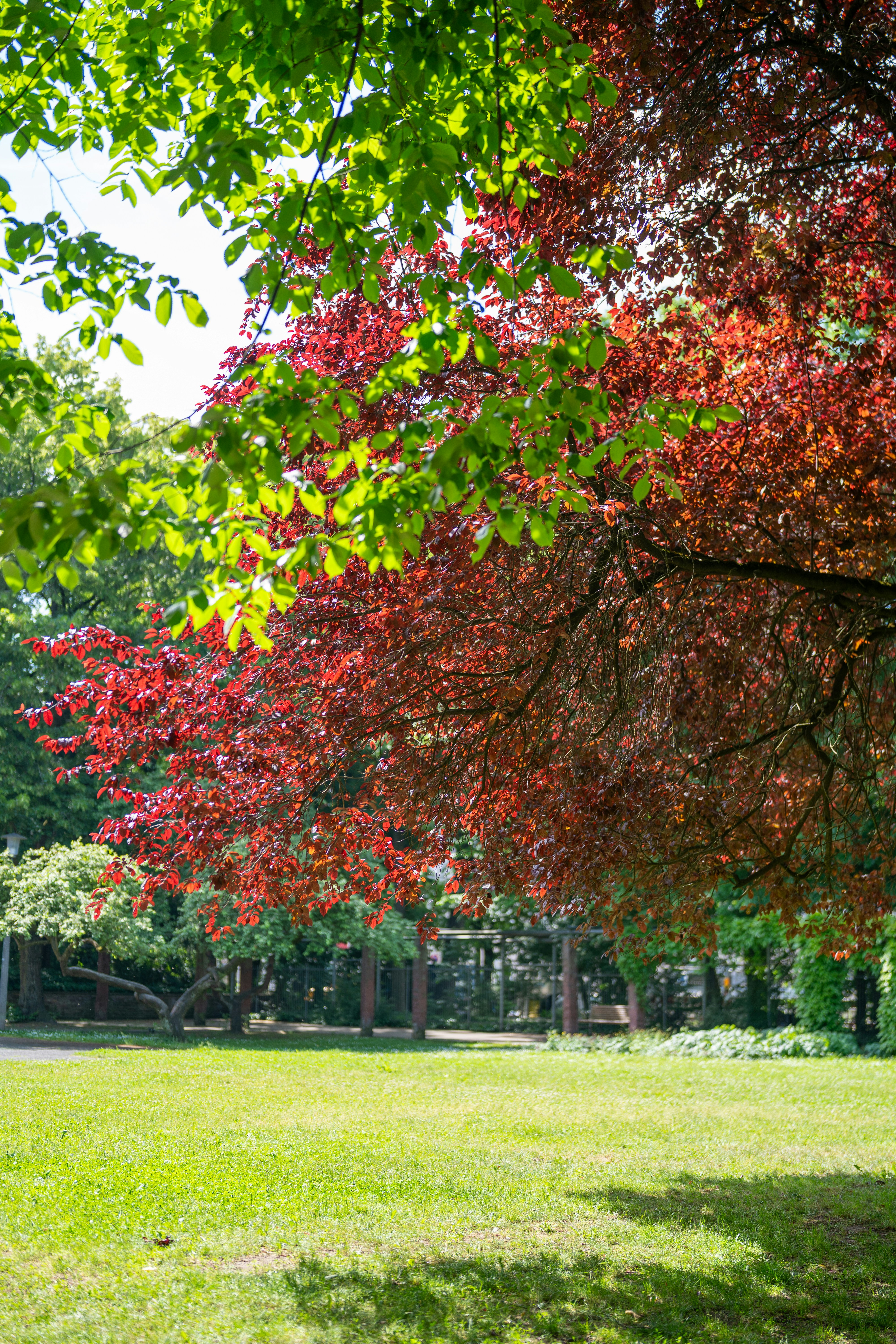 Photo by bangscreative