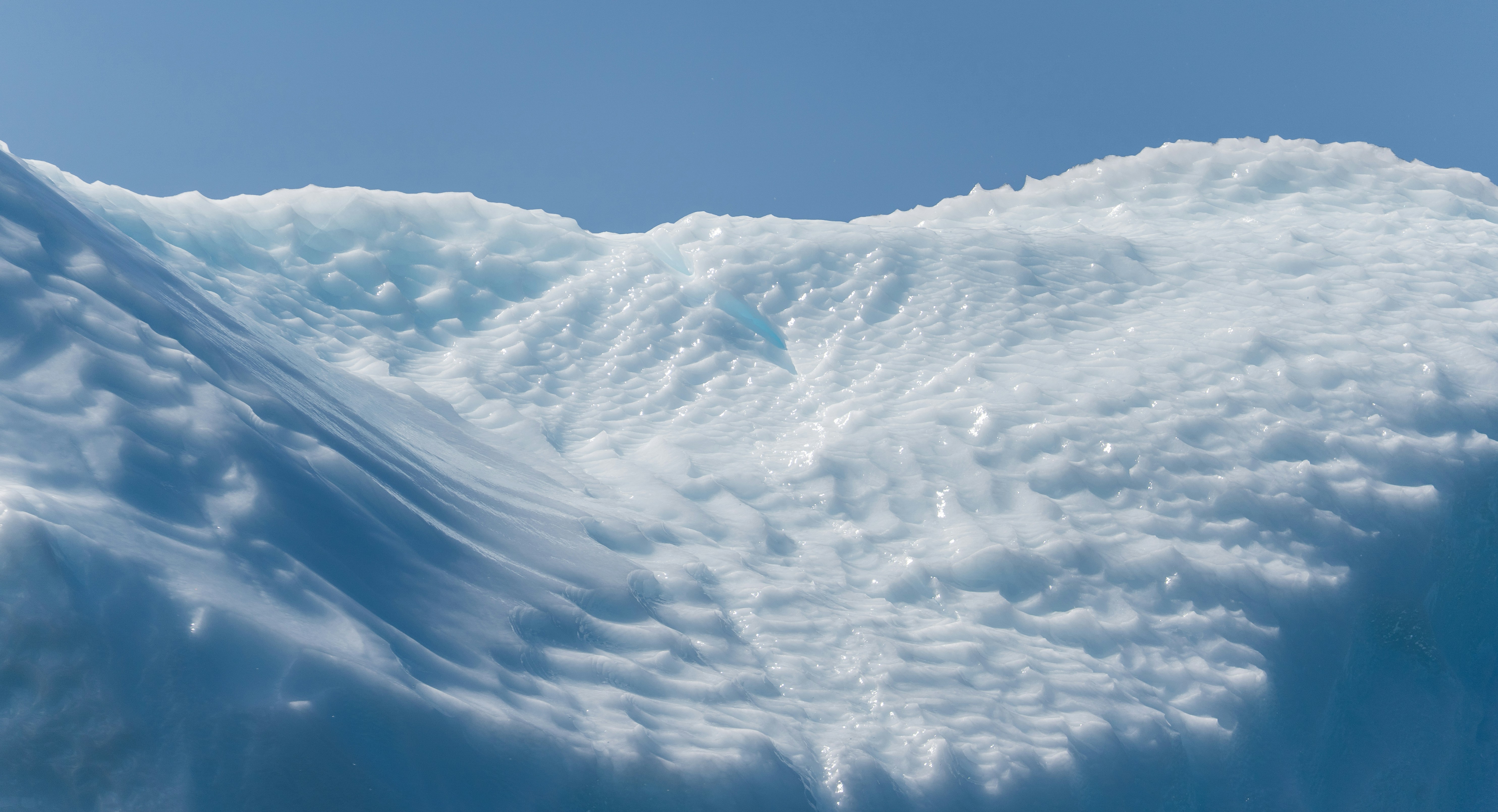 Photo by francis_nie