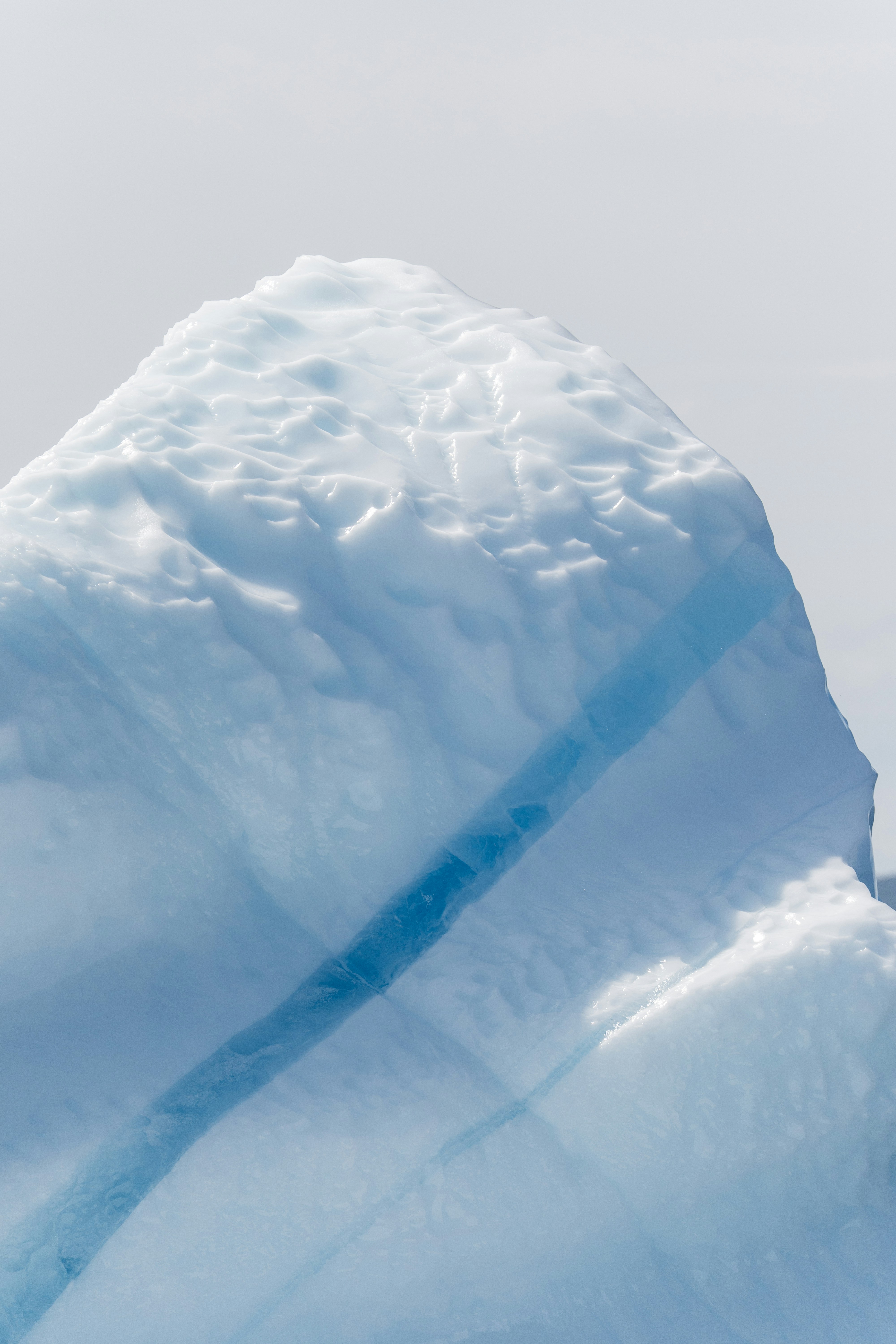 Photo by francis_nie