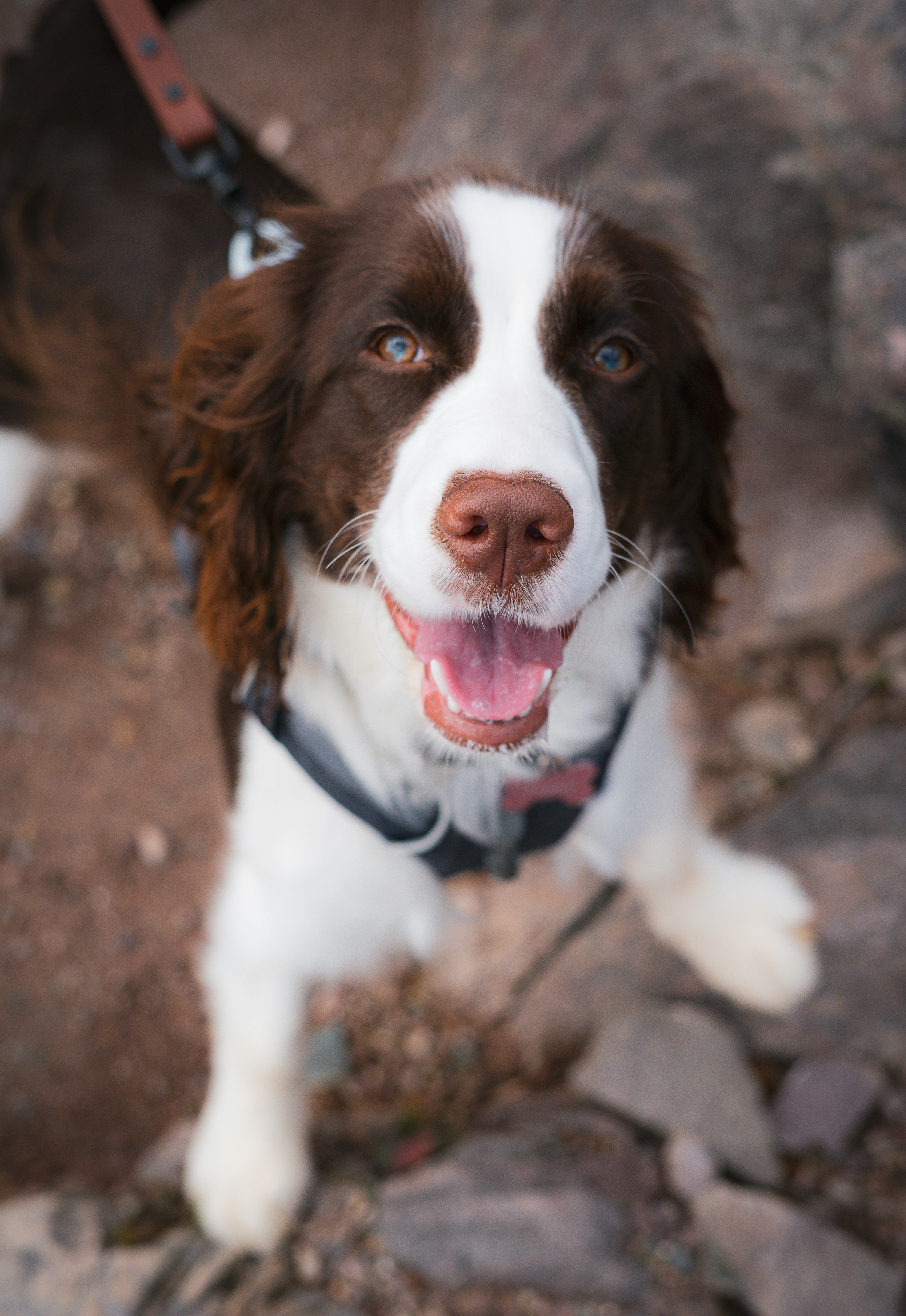 Photo by francis_nie