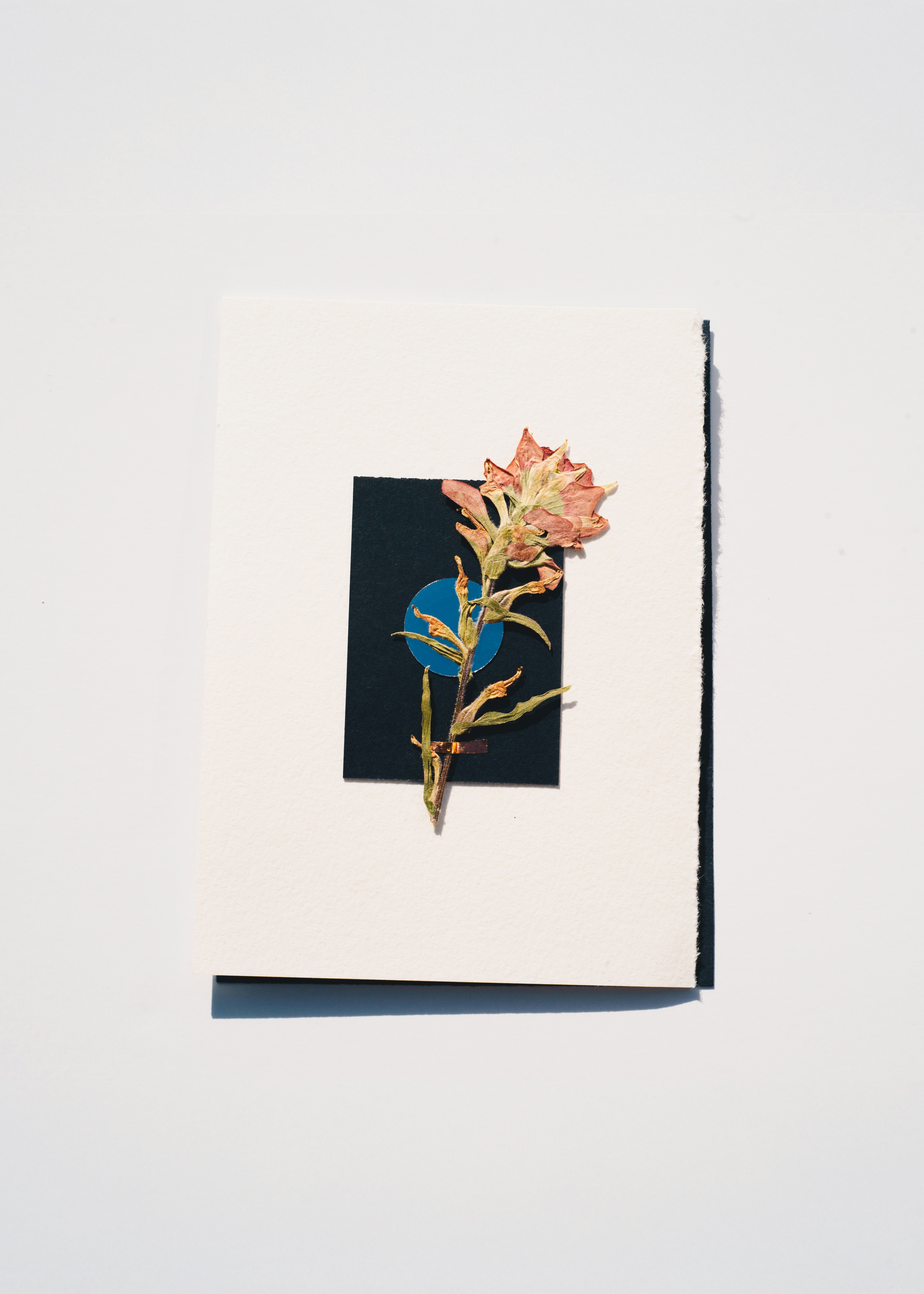 Photo by evieshaffer