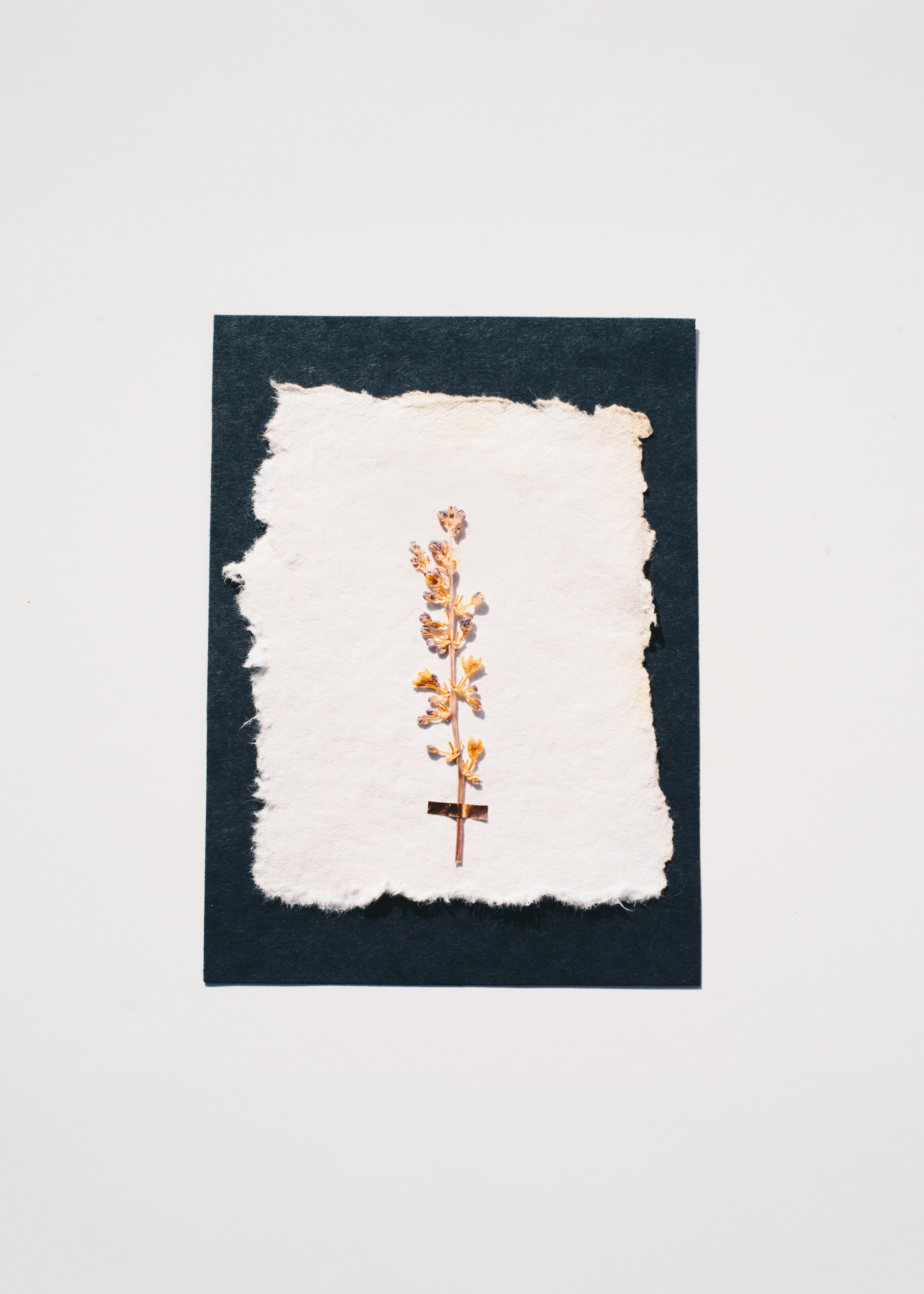 Photo by evieshaffer