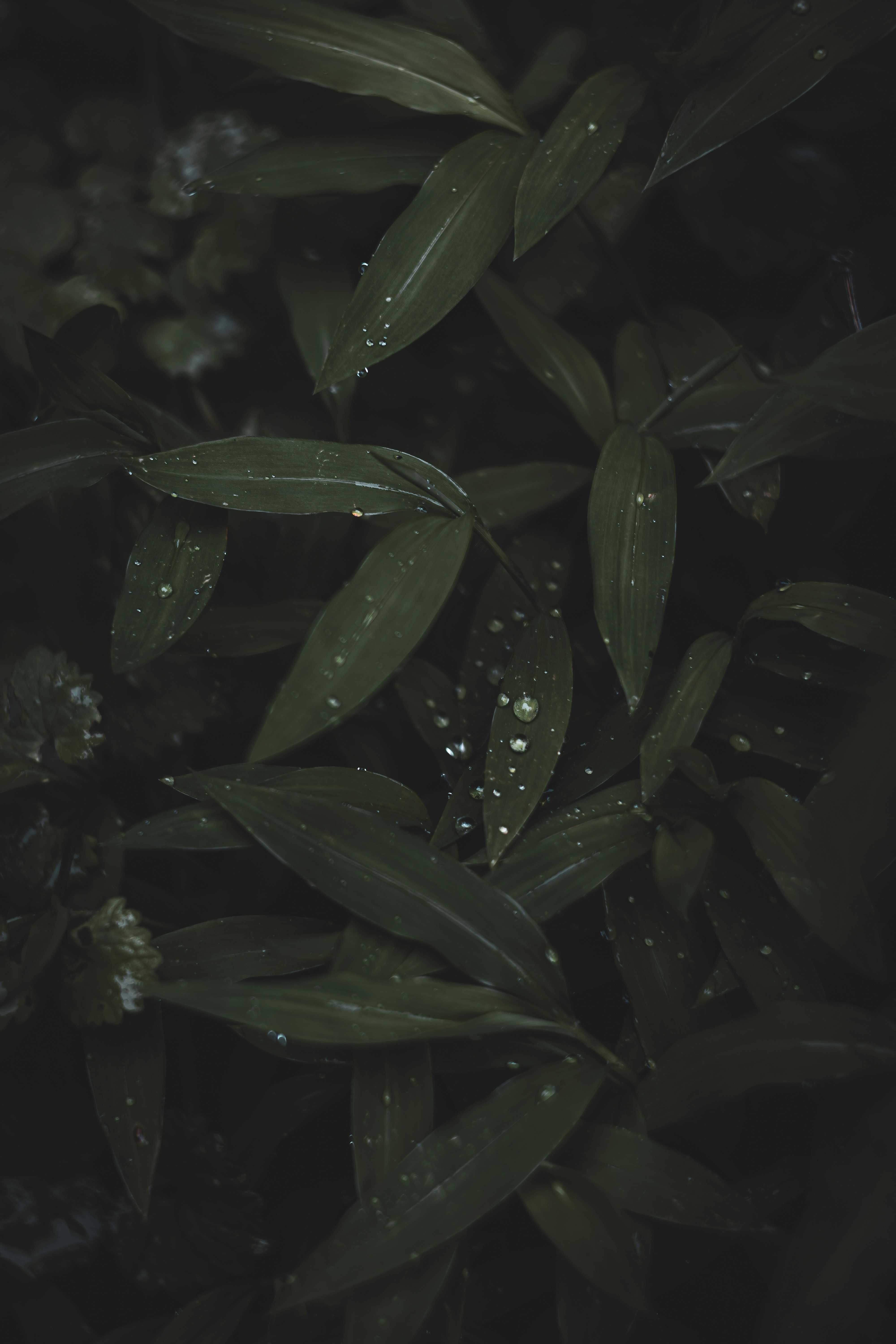 Photo by brice_cooper18