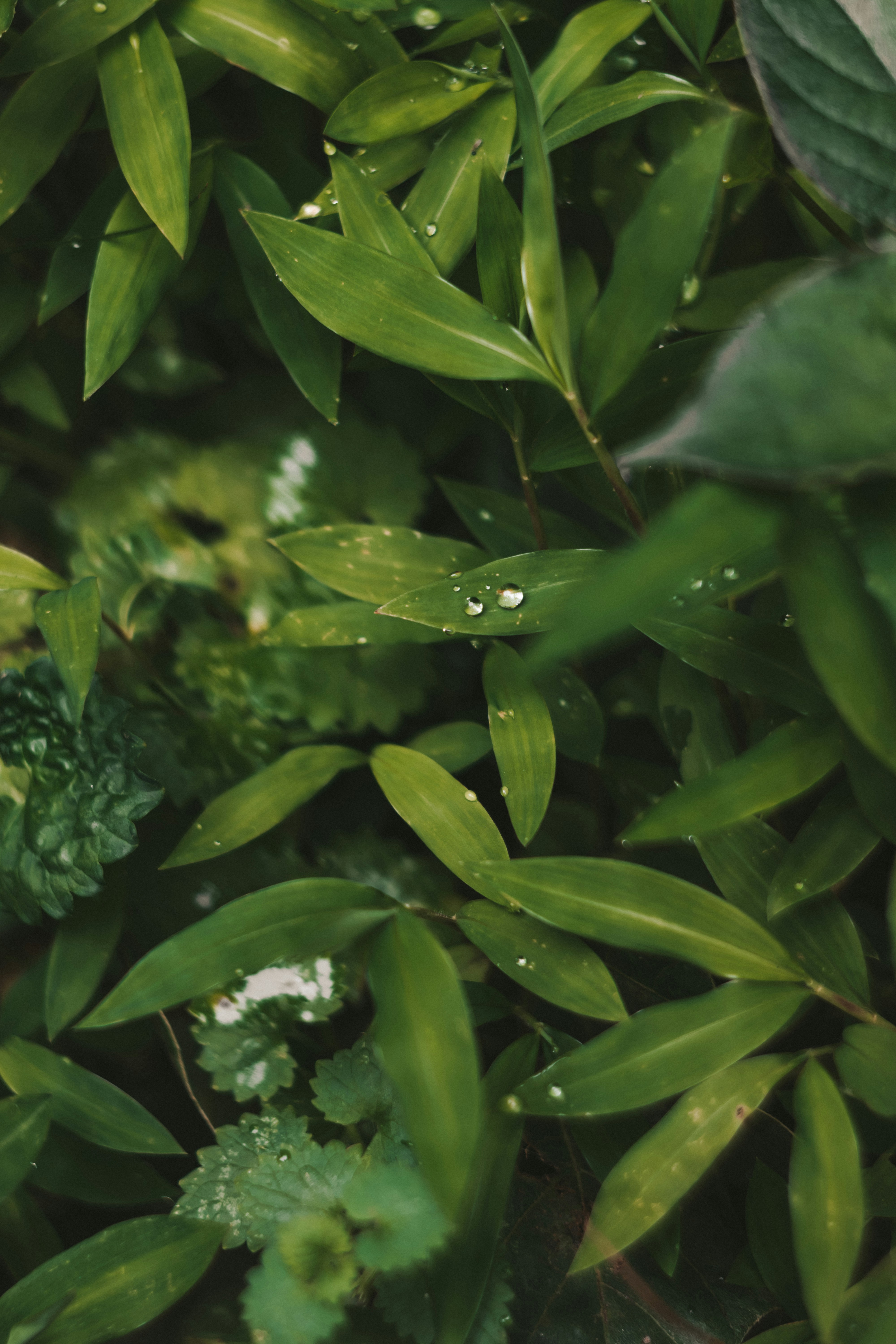 Photo by brice_cooper18