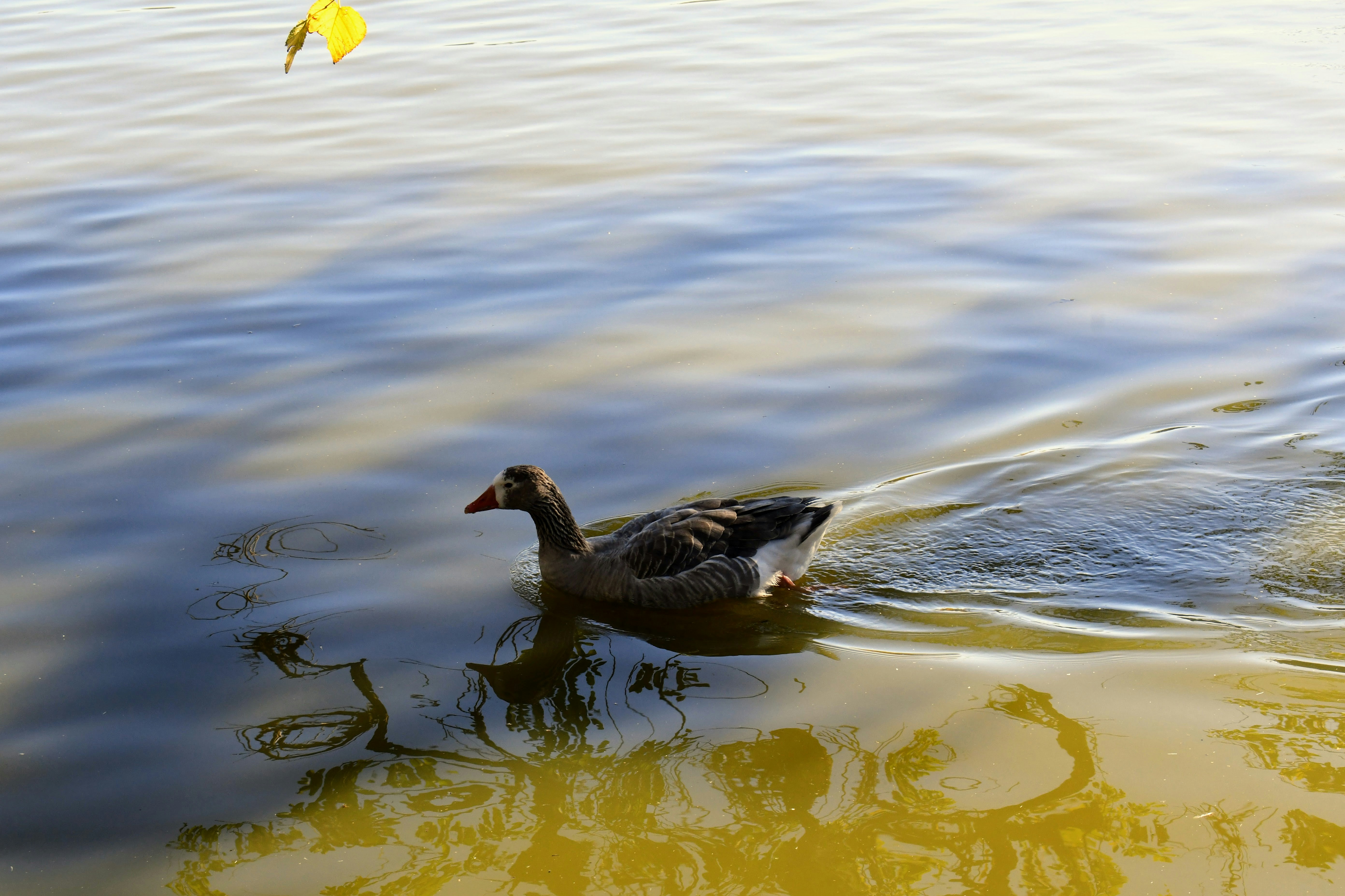 Photo by paul_colorado