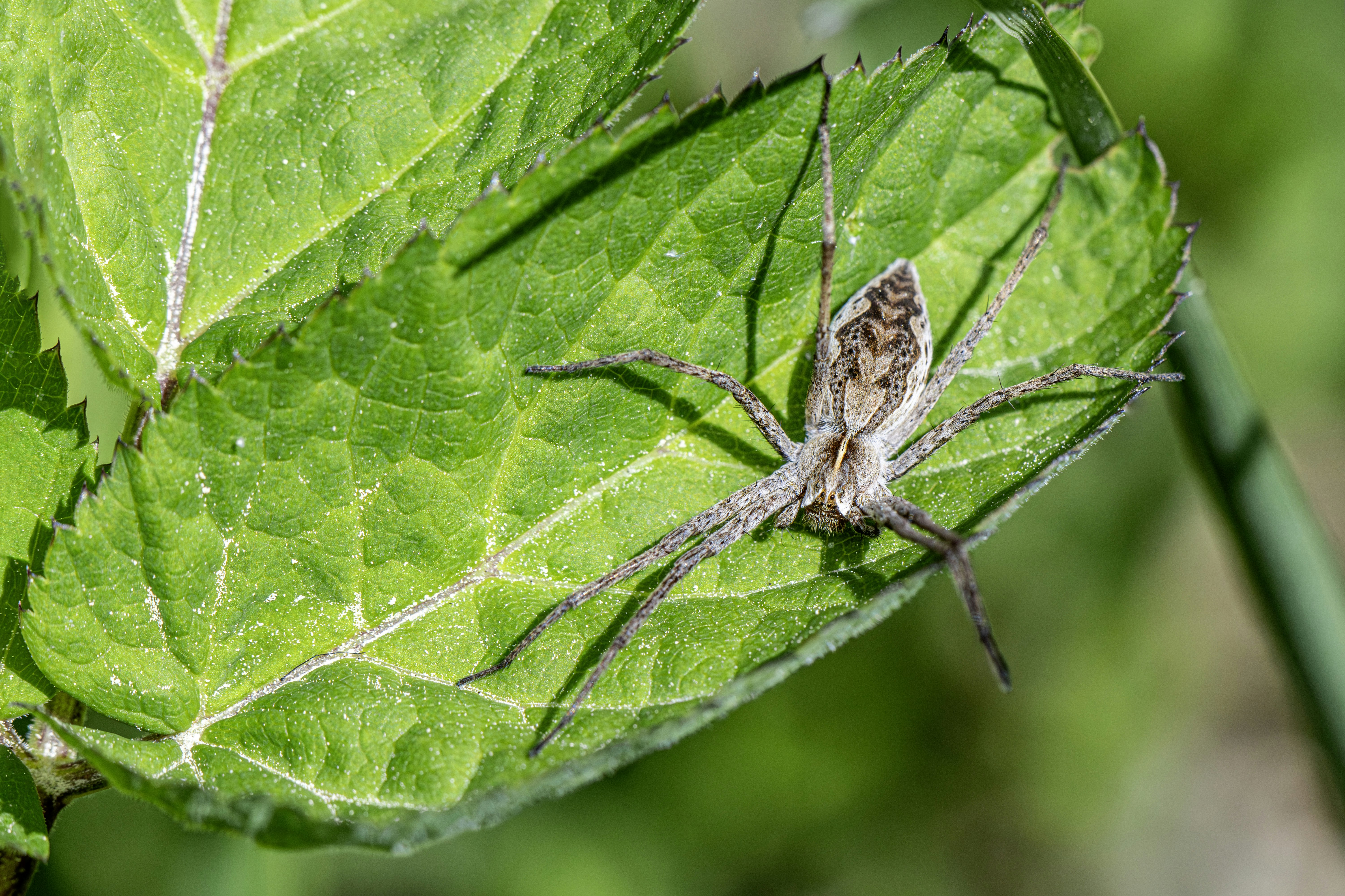 Photo by erik_karits