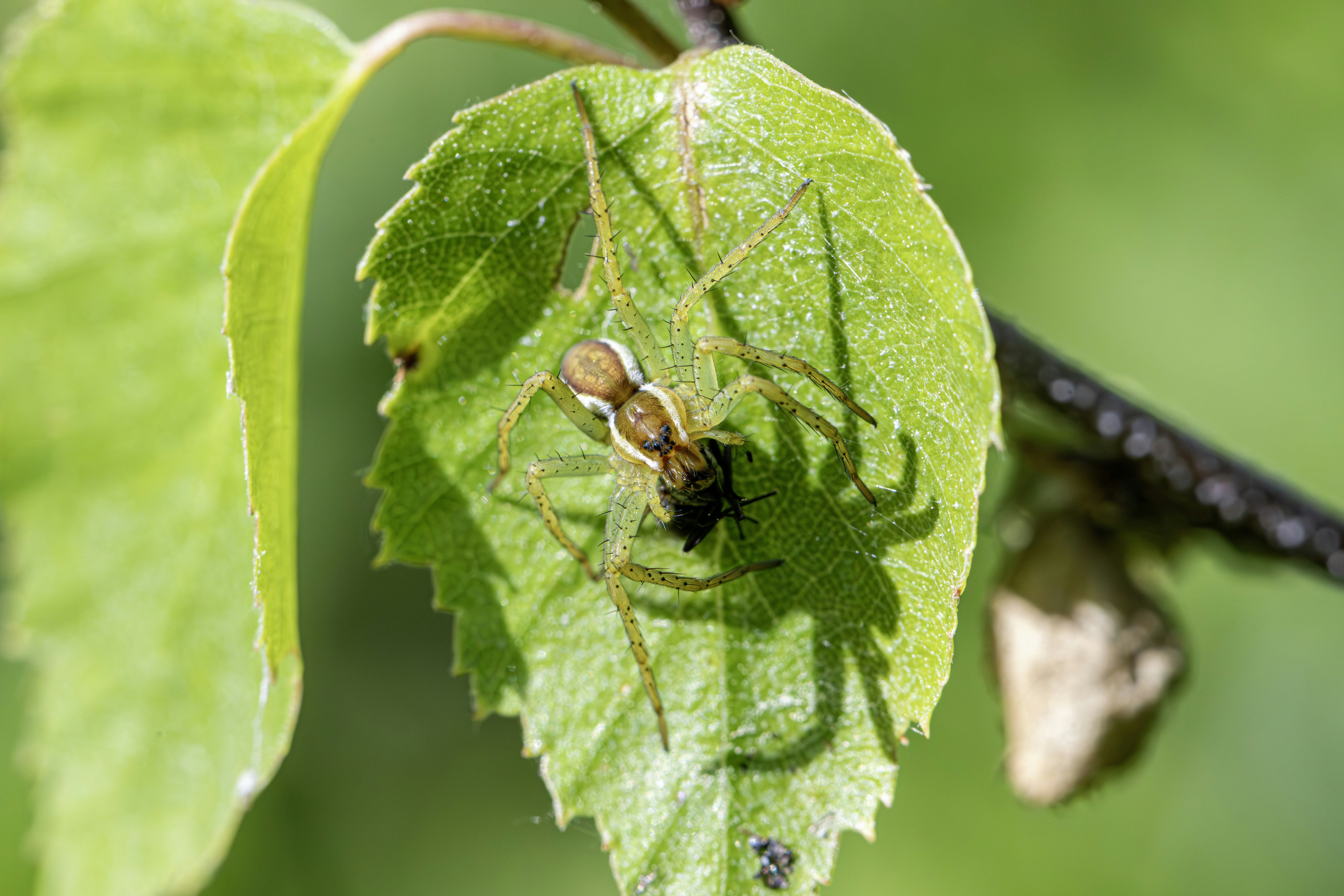 Photo by erik_karits