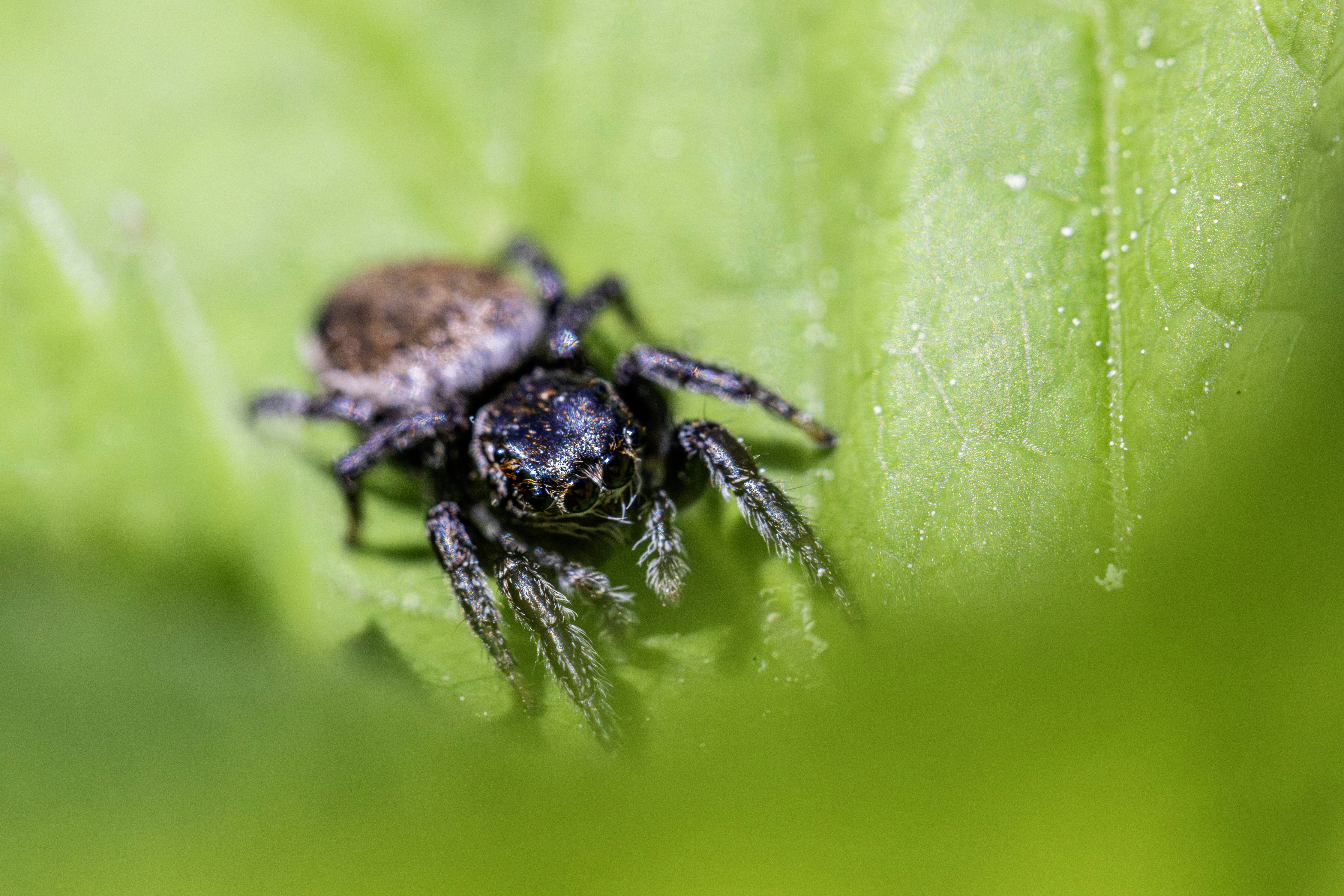 Photo by erik_karits