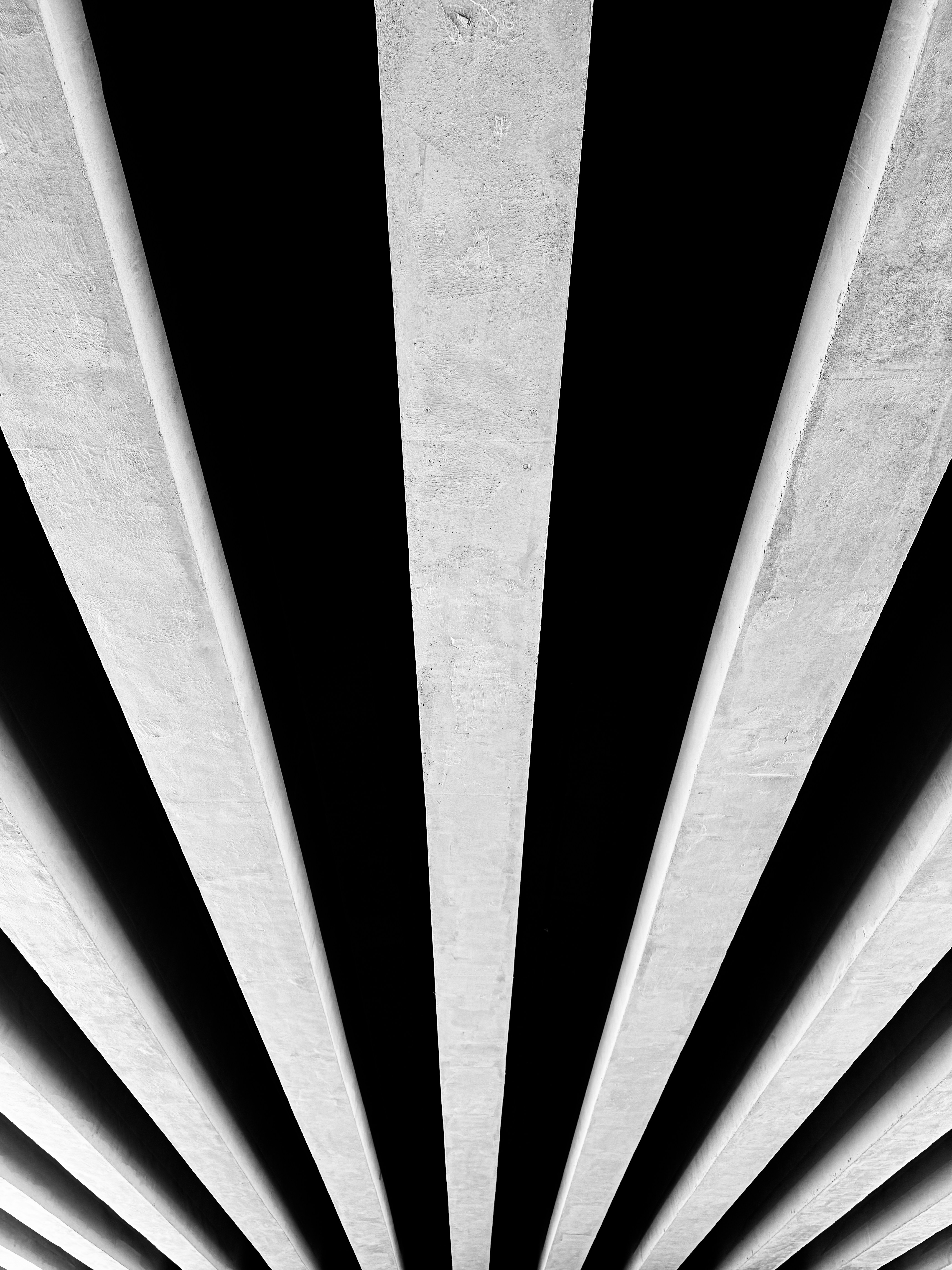 Ayman Rakib (@mr_ayman) | Komunitas Foto Unsplash